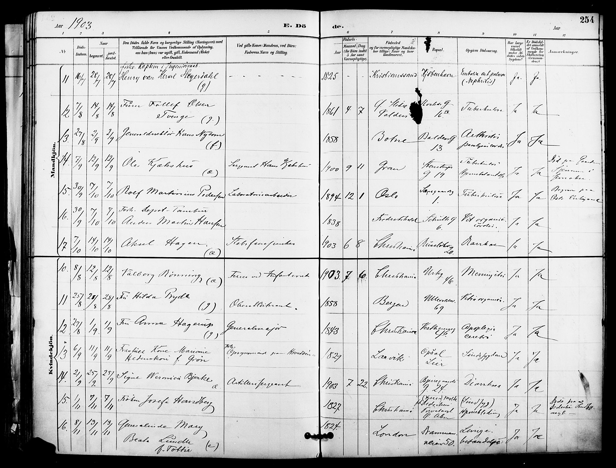 Garnisonsmenigheten Kirkebøker, SAO/A-10846/F/Fa/L0013: Parish register (official) no. 13, 1894-1904, p. 254