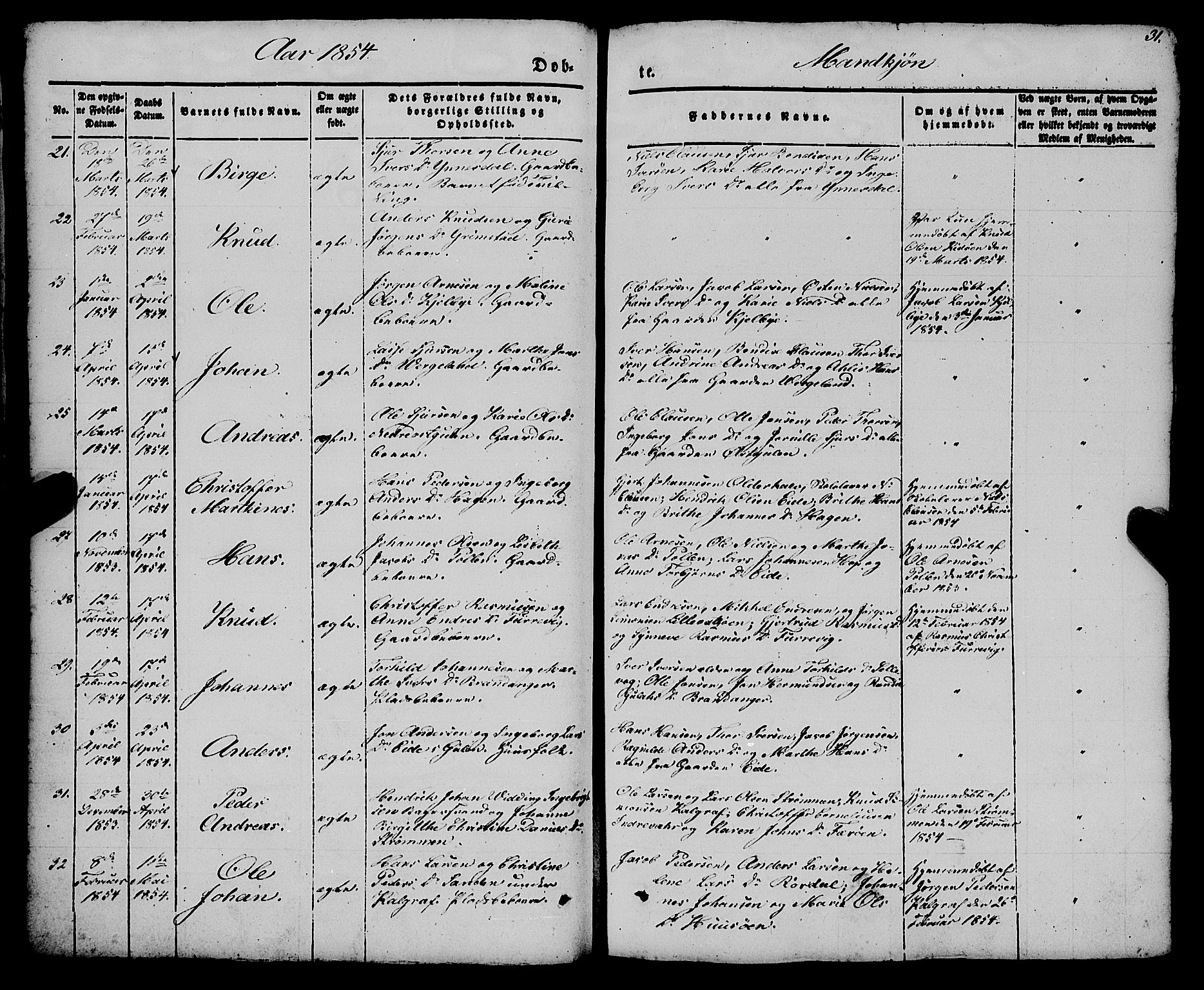 Gulen sokneprestembete, AV/SAB-A-80201/H/Haa/Haaa/L0021: Parish register (official) no. A 21, 1848-1858, p. 31