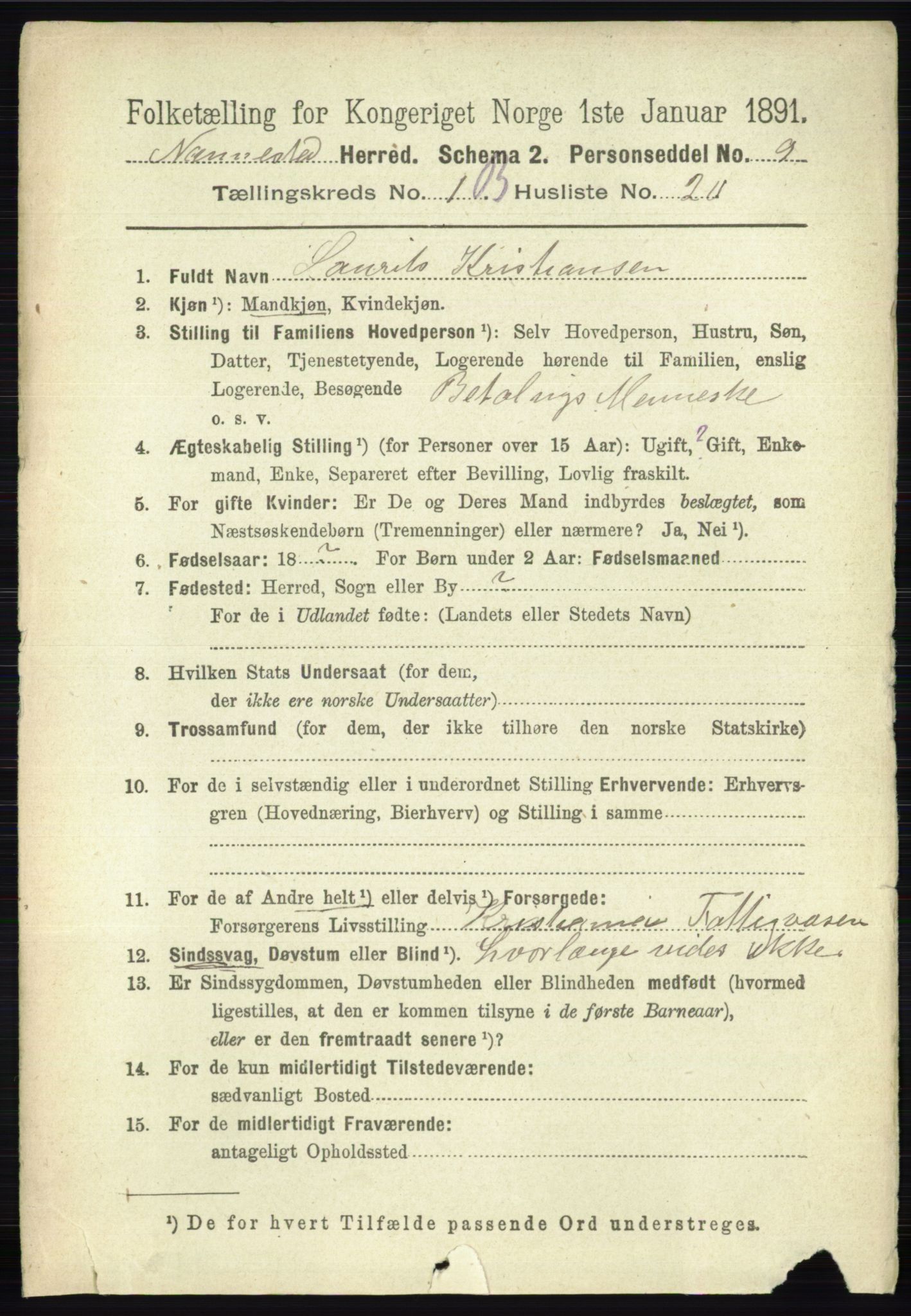 RA, 1891 census for 0238 Nannestad, 1891, p. 817