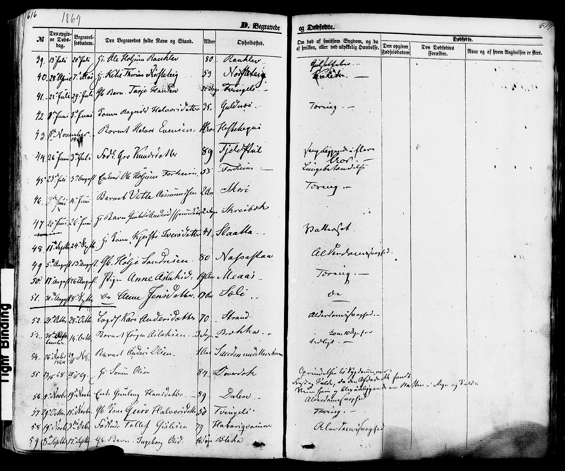 Seljord kirkebøker, AV/SAKO-A-20/F/Fa/L0013: Parish register (official) no. I 13, 1866-1876, p. 616-617