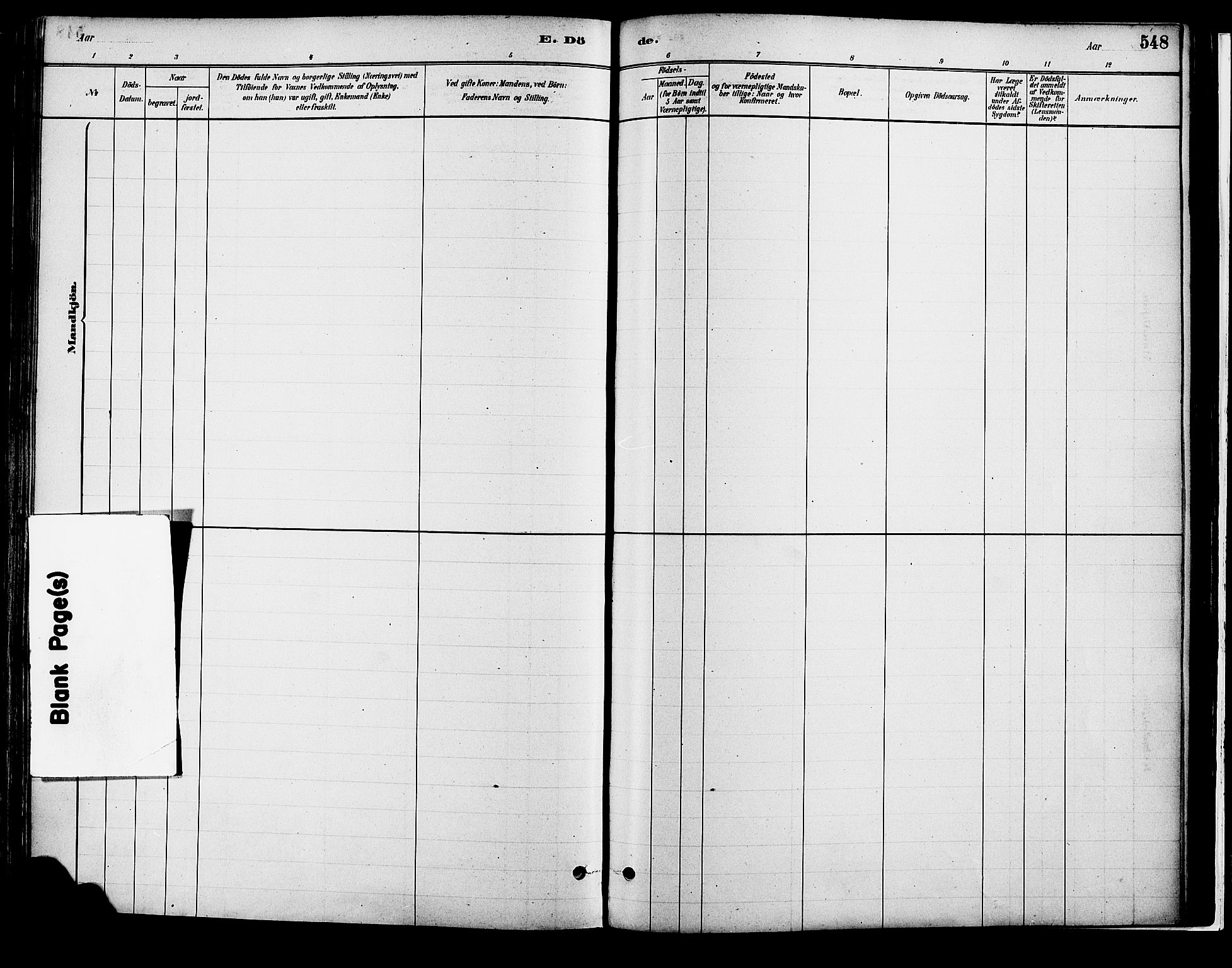 Vang prestekontor, Hedmark, AV/SAH-PREST-008/H/Ha/Haa/L0018B: Parish register (official) no. 18B, 1880-1906, p. 548