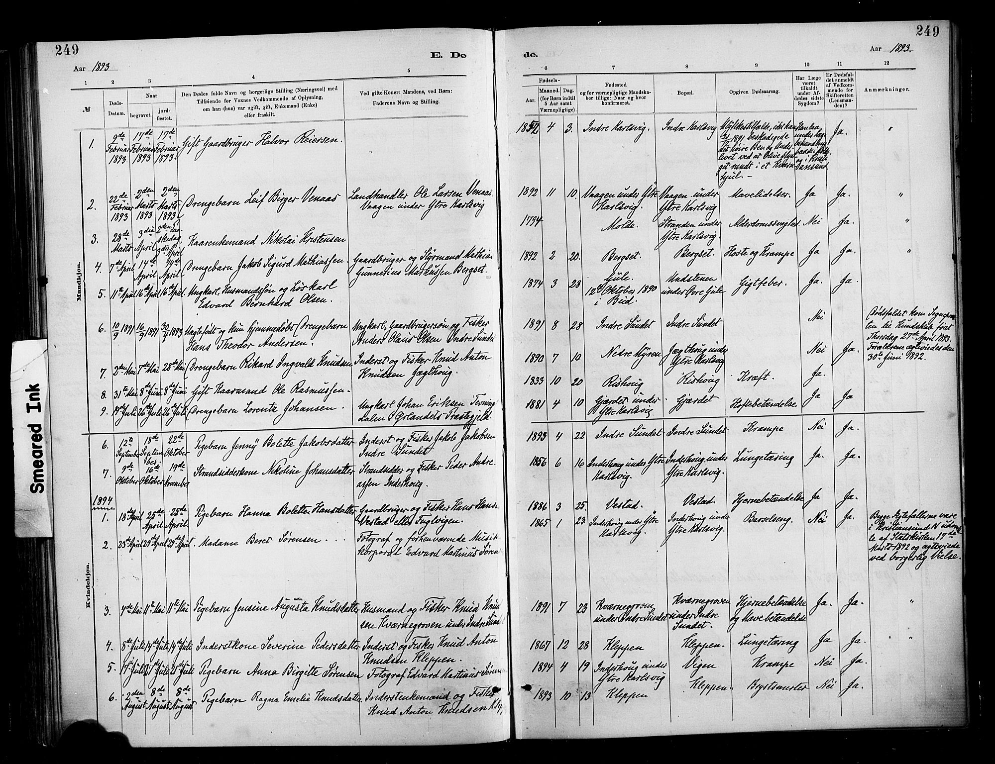 Ministerialprotokoller, klokkerbøker og fødselsregistre - Møre og Romsdal, SAT/A-1454/566/L0769: Parish register (official) no. 566A08, 1881-1903, p. 249