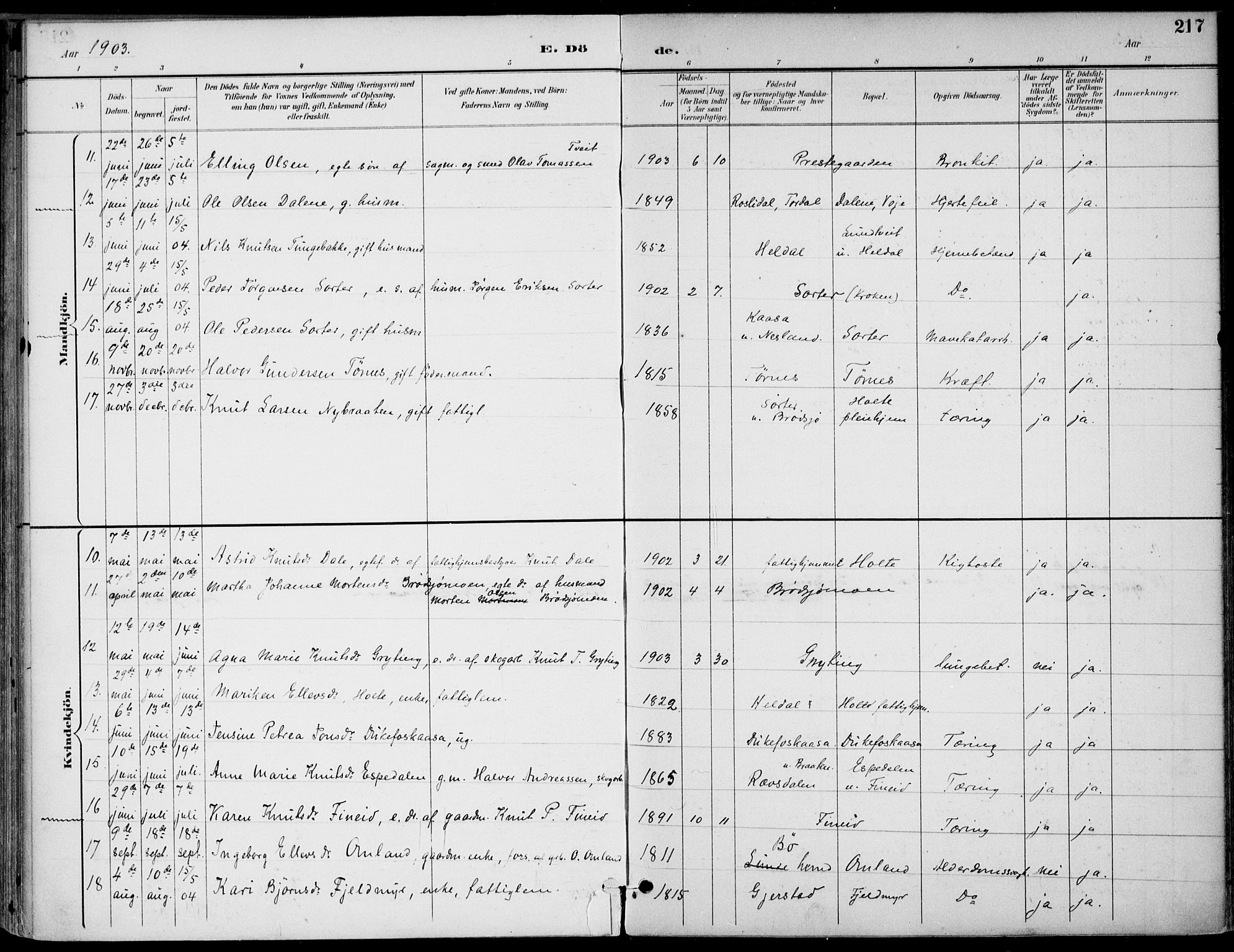 Drangedal kirkebøker, AV/SAKO-A-258/F/Fa/L0012: Parish register (official) no. 12, 1895-1905, p. 217