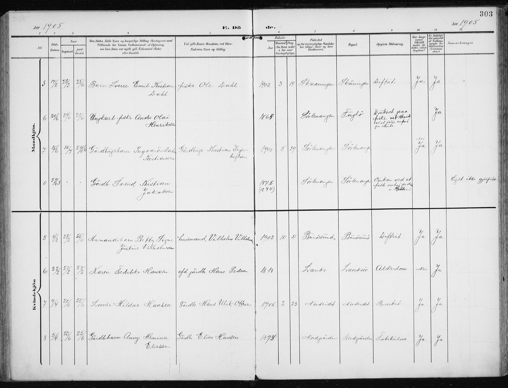 Karlsøy sokneprestembete, AV/SATØ-S-1299/H/Ha/Haa/L0014kirke: Parish register (official) no. 14, 1903-1917, p. 303