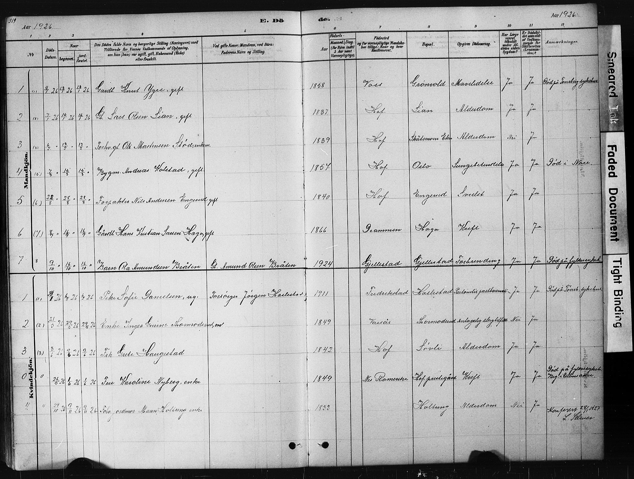 Hof kirkebøker, AV/SAKO-A-64/G/Ga/L0004: Parish register (copy) no. I 4, 1878-1930, p. 319