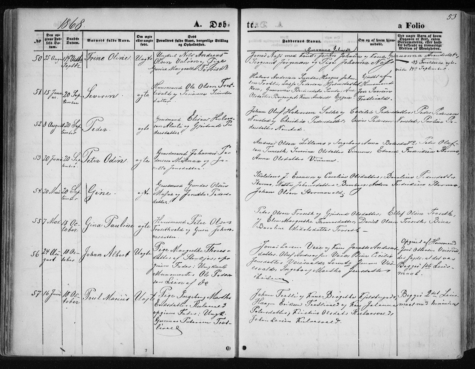 Ministerialprotokoller, klokkerbøker og fødselsregistre - Nord-Trøndelag, AV/SAT-A-1458/717/L0157: Parish register (official) no. 717A08 /1, 1863-1877, p. 53