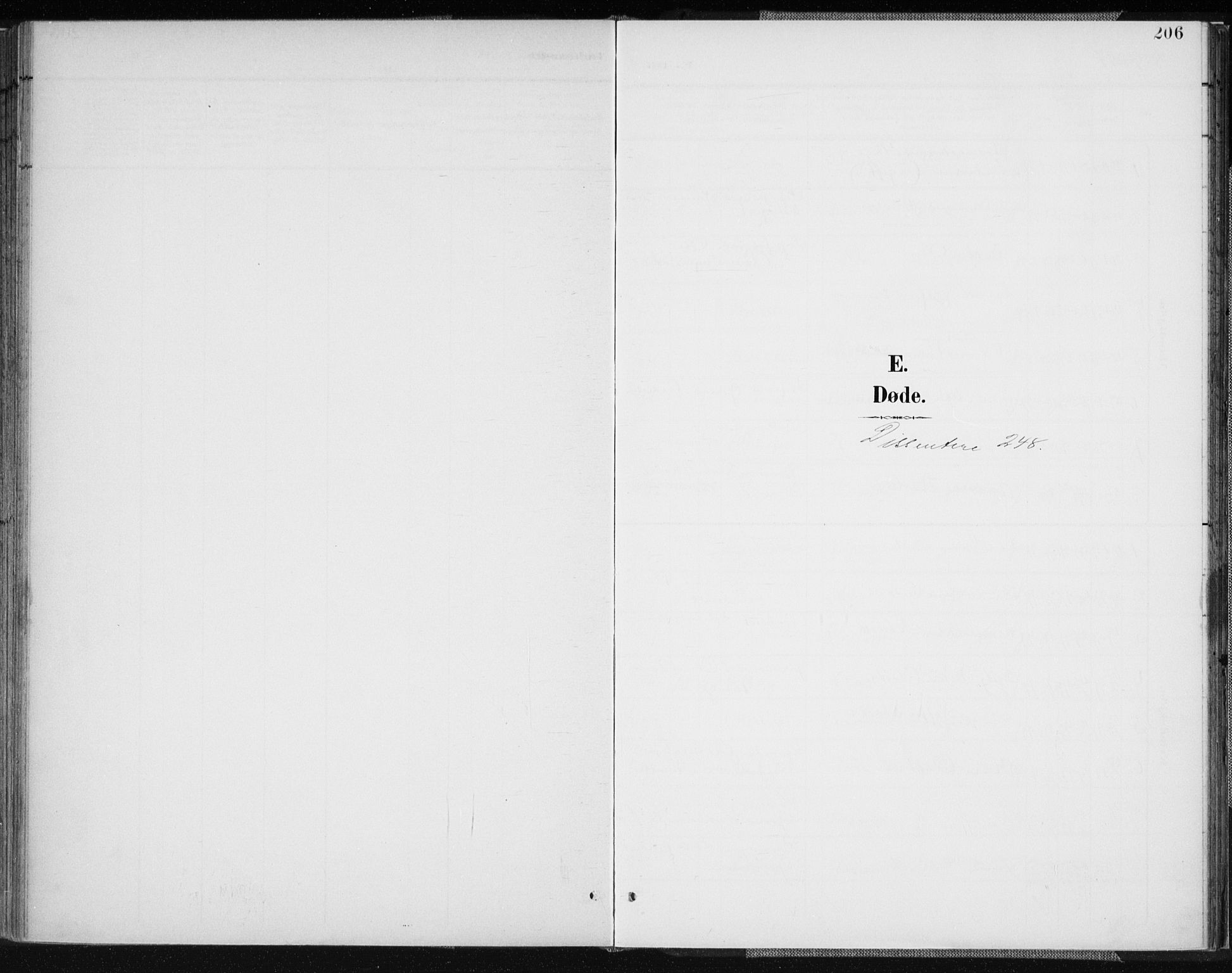 Vennesla sokneprestkontor, SAK/1111-0045/Fa/Fab/L0005: Parish register (official) no. A 5, 1897-1909, p. 206