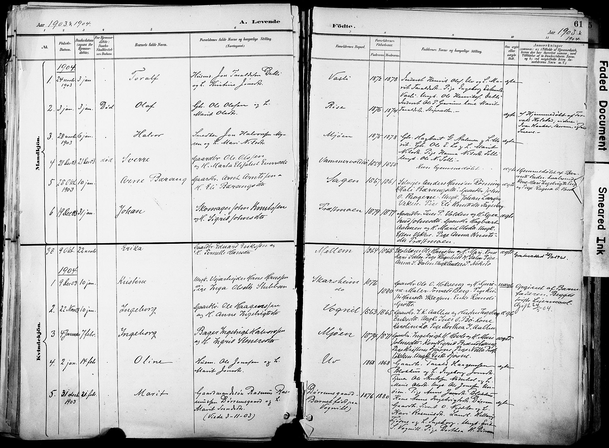 Ministerialprotokoller, klokkerbøker og fødselsregistre - Sør-Trøndelag, SAT/A-1456/678/L0902: Parish register (official) no. 678A11, 1895-1911, p. 61