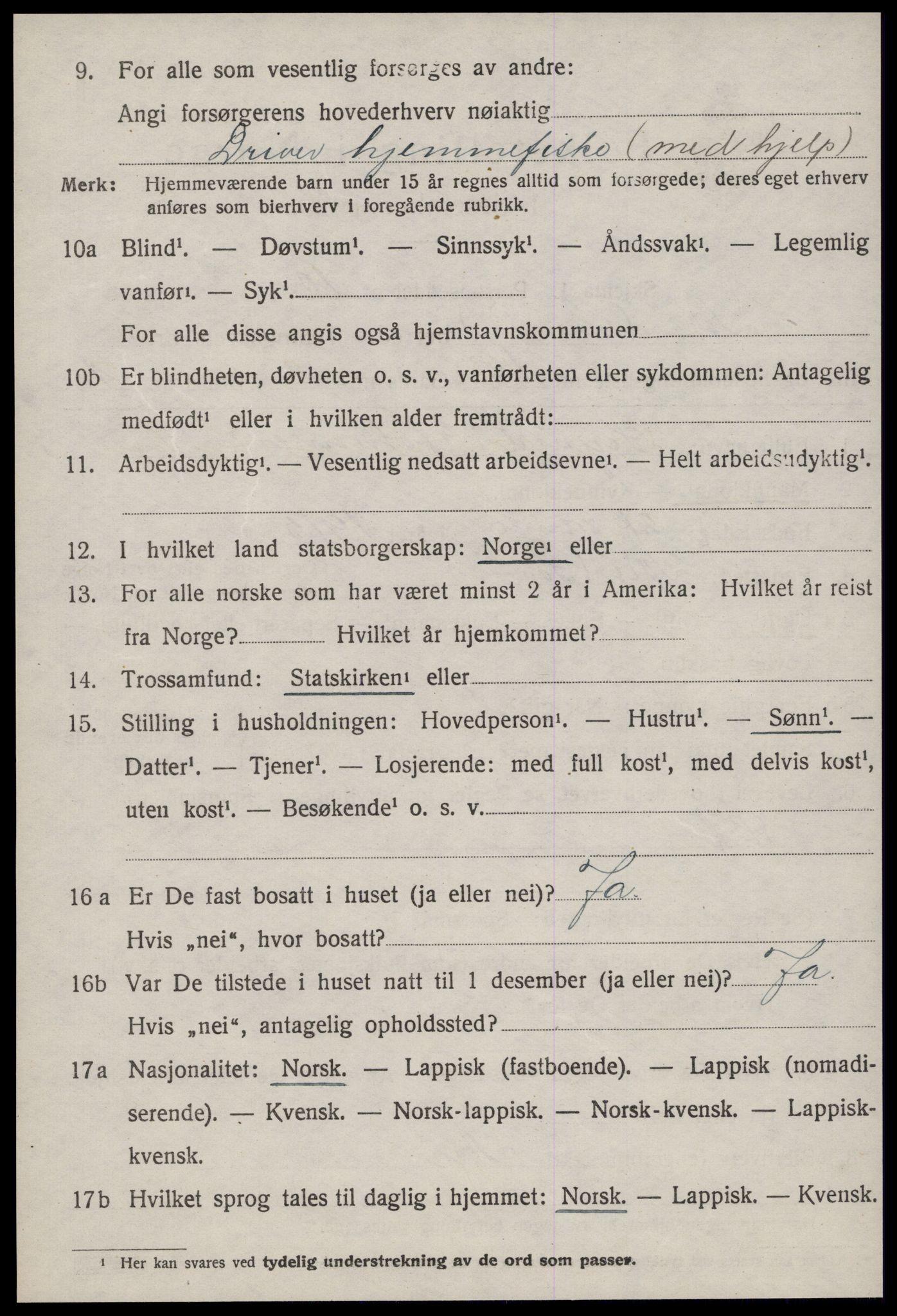 SAT, 1920 census for Nes (ST), 1920, p. 3068