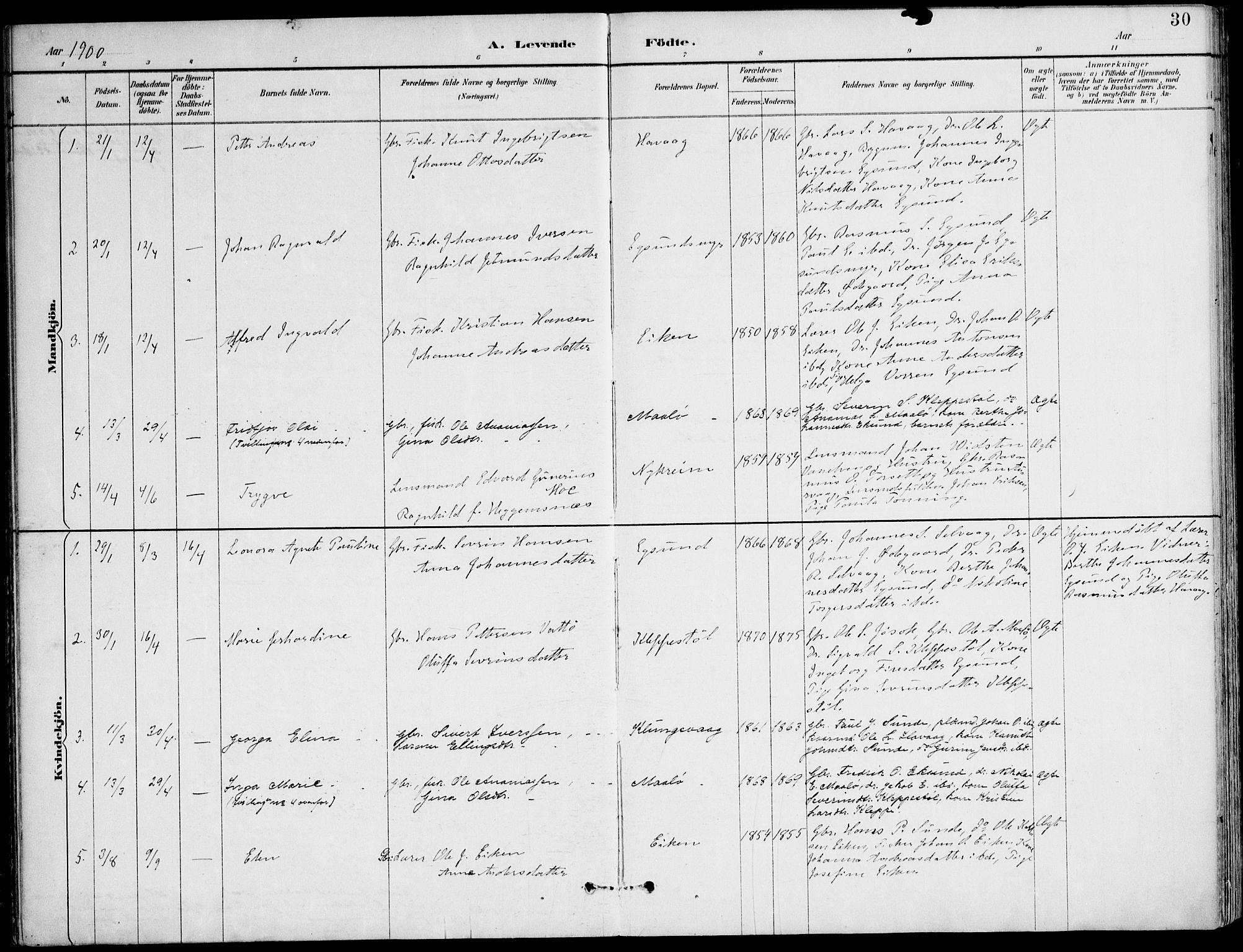 Ministerialprotokoller, klokkerbøker og fødselsregistre - Møre og Romsdal, AV/SAT-A-1454/508/L0095: Parish register (official) no. 508A02, 1887-1920, p. 30