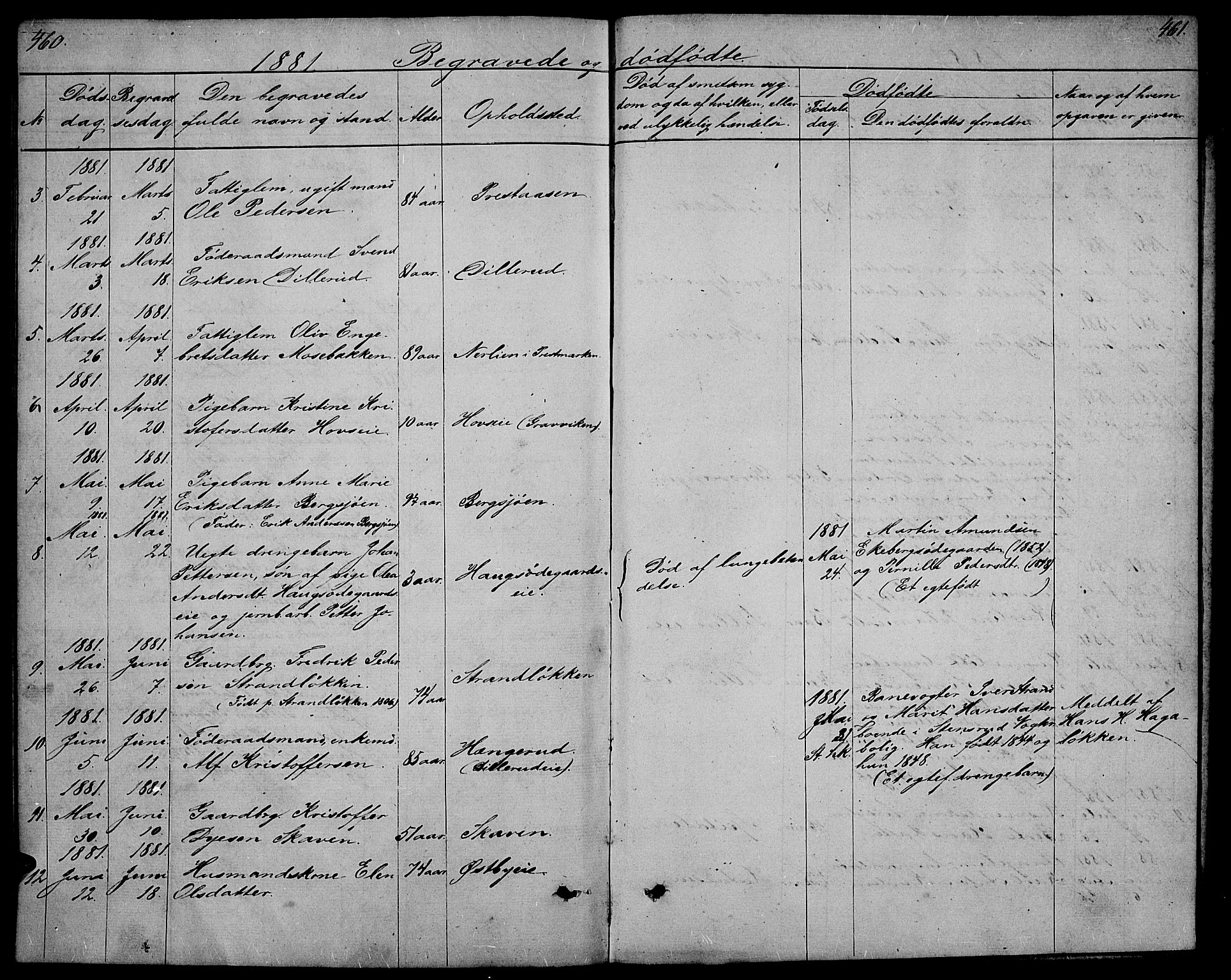 Stange prestekontor, AV/SAH-PREST-002/L/L0005: Parish register (copy) no. 5, 1861-1881, p. 460-461