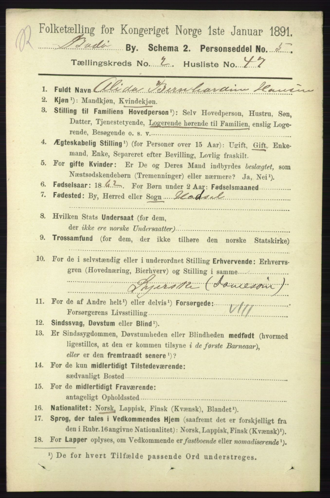 RA, 1891 census for 1804 Bodø, 1891, p. 1599