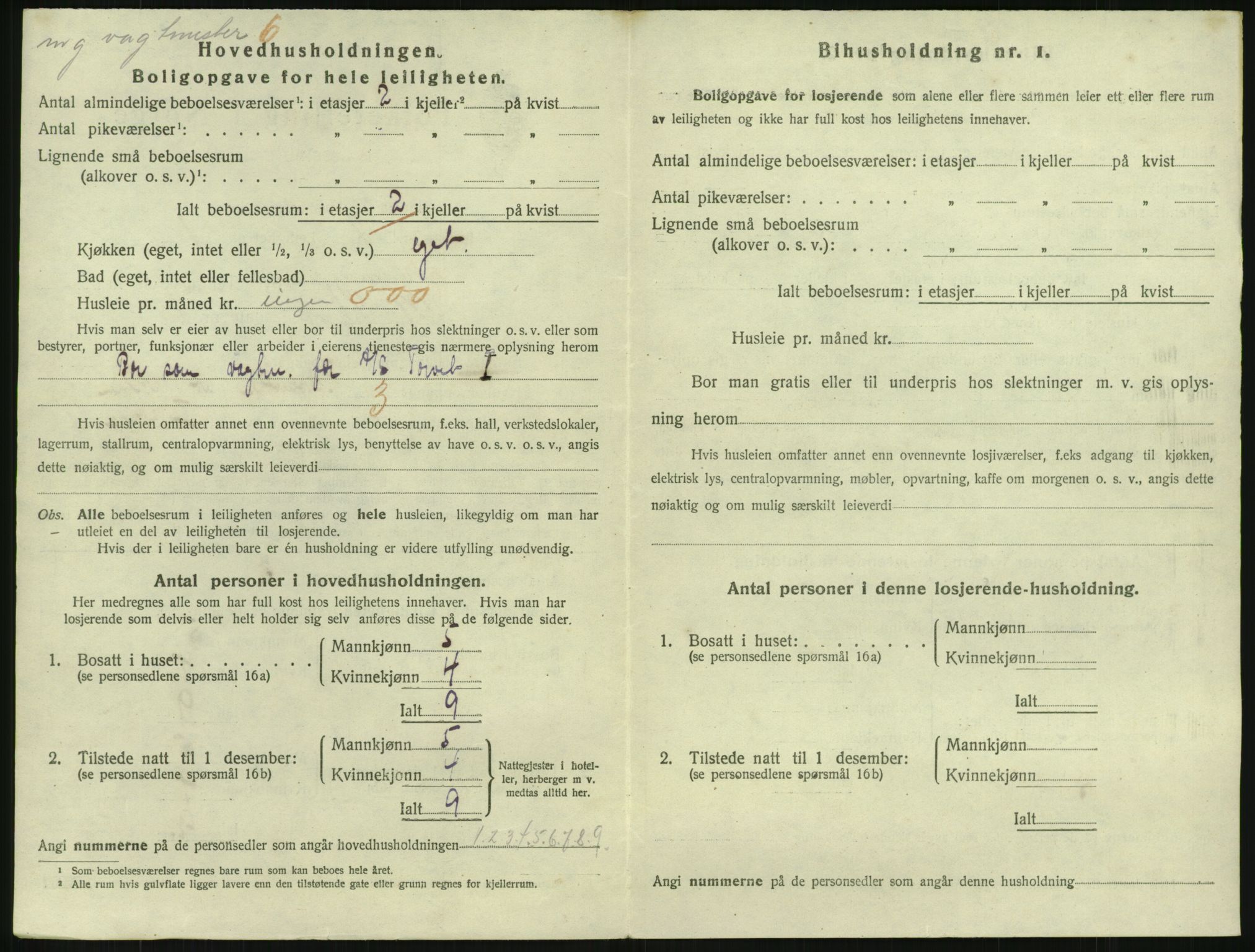 SAKO, 1920 census for Drammen, 1920, p. 9048