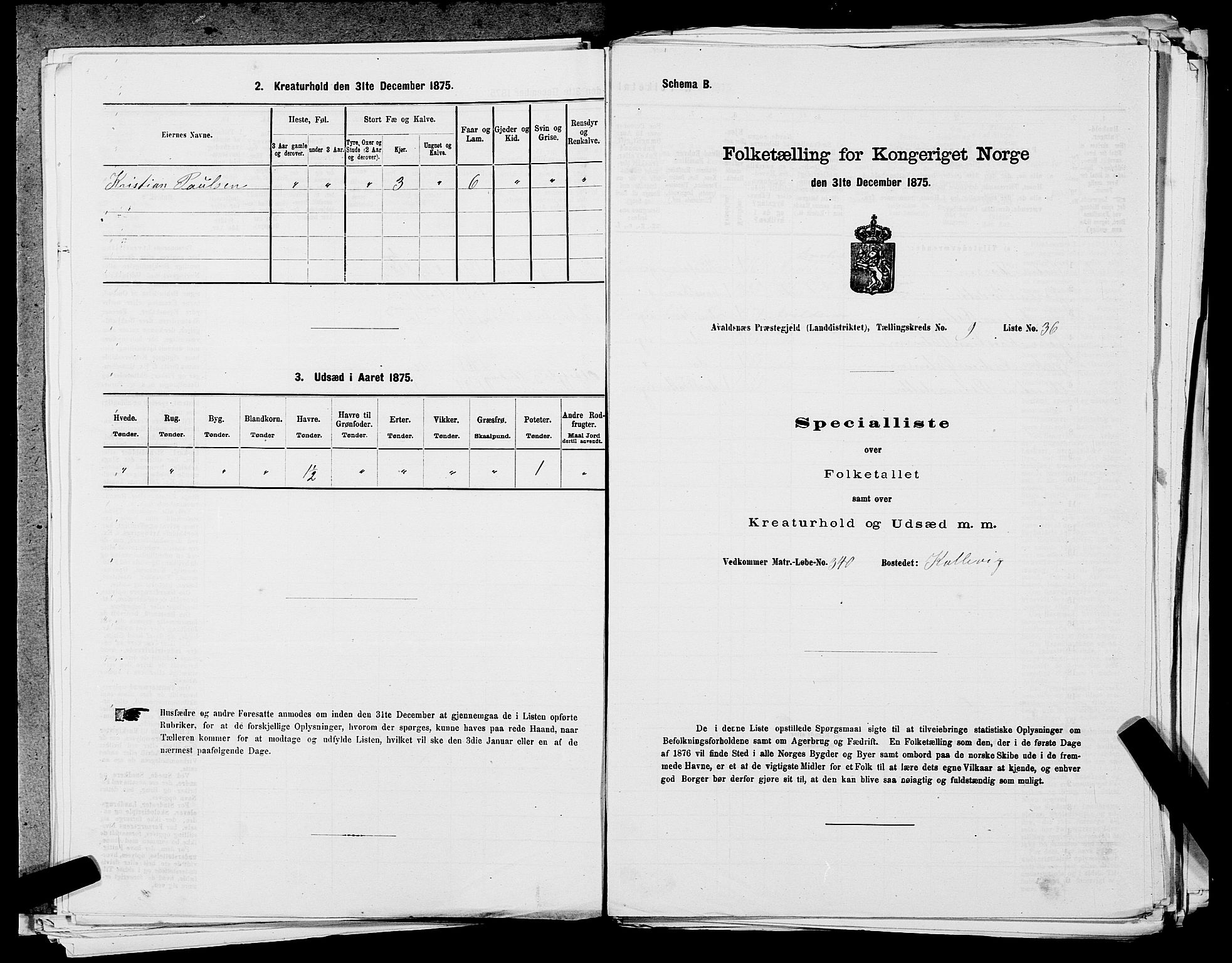 SAST, 1875 census for 1147L Avaldsnes/Avaldsnes og Kopervik, 1875, p. 1489