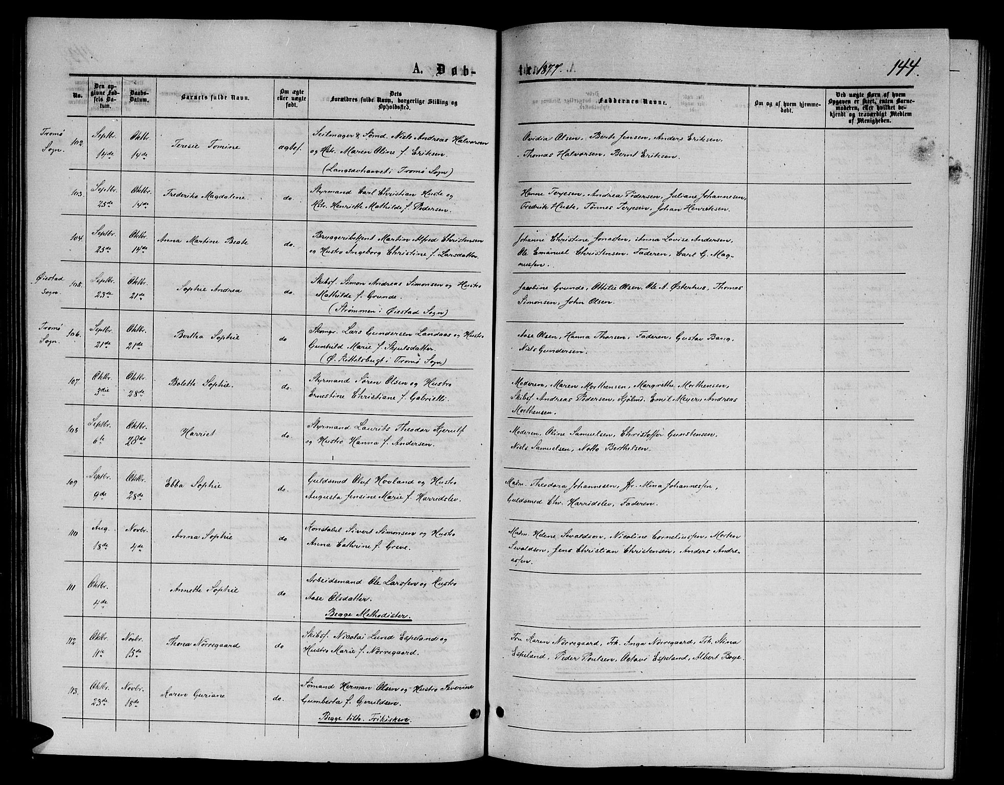 Arendal sokneprestkontor, Trefoldighet, SAK/1111-0040/F/Fb/L0005: Parish register (copy) no. B 5, 1874-1888, p. 144