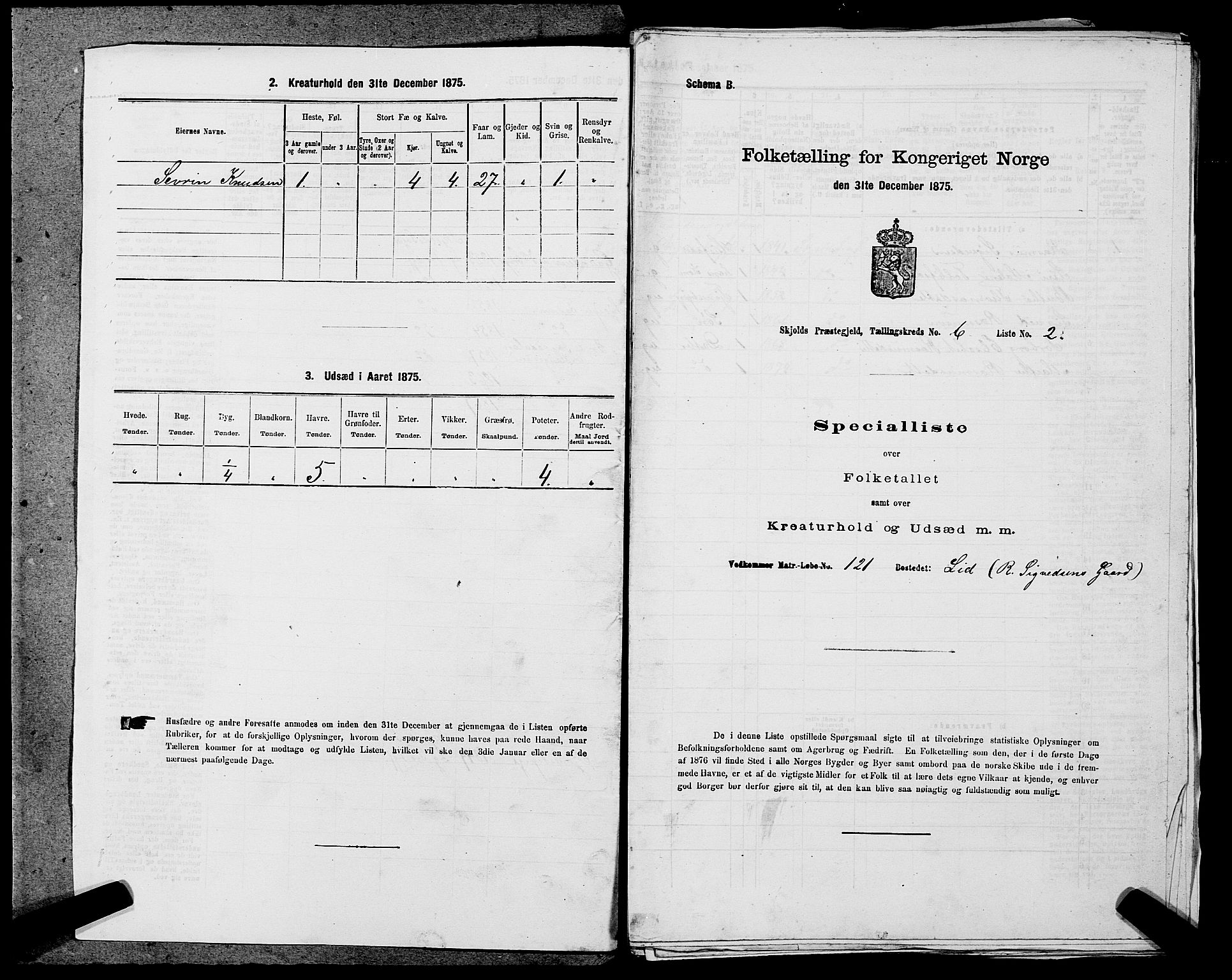 SAST, 1875 census for 1154P Skjold, 1875, p. 522