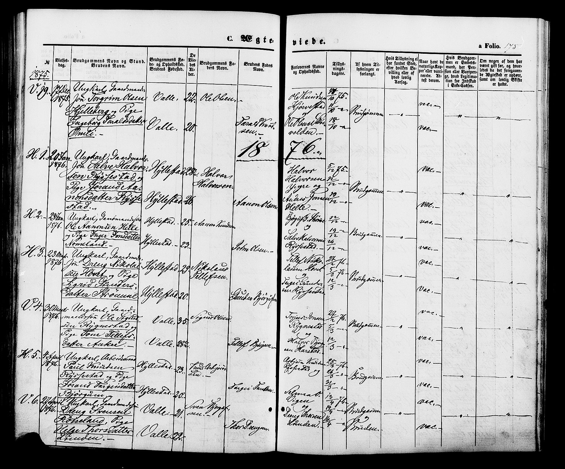 Valle sokneprestkontor, AV/SAK-1111-0044/F/Fa/Fac/L0008: Parish register (official) no. A 8, 1868-1882, p. 175