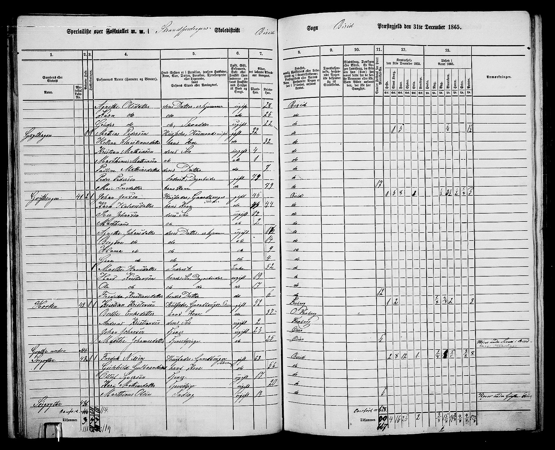 RA, 1865 census for Biri, 1865, p. 33