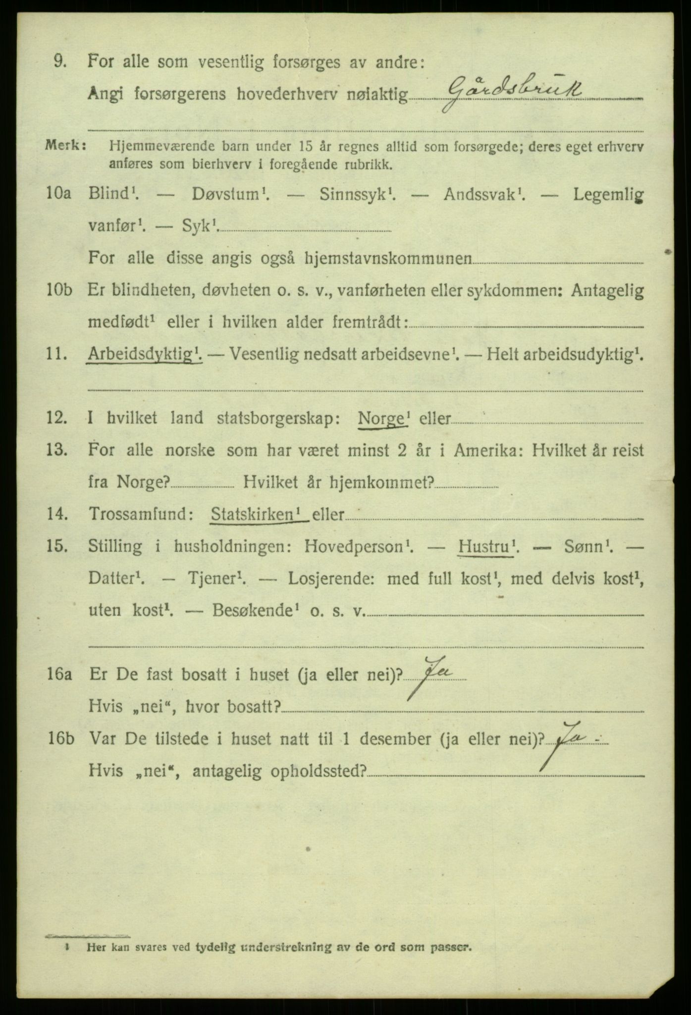 SAB, 1920 census for Lærdal, 1920, p. 3951