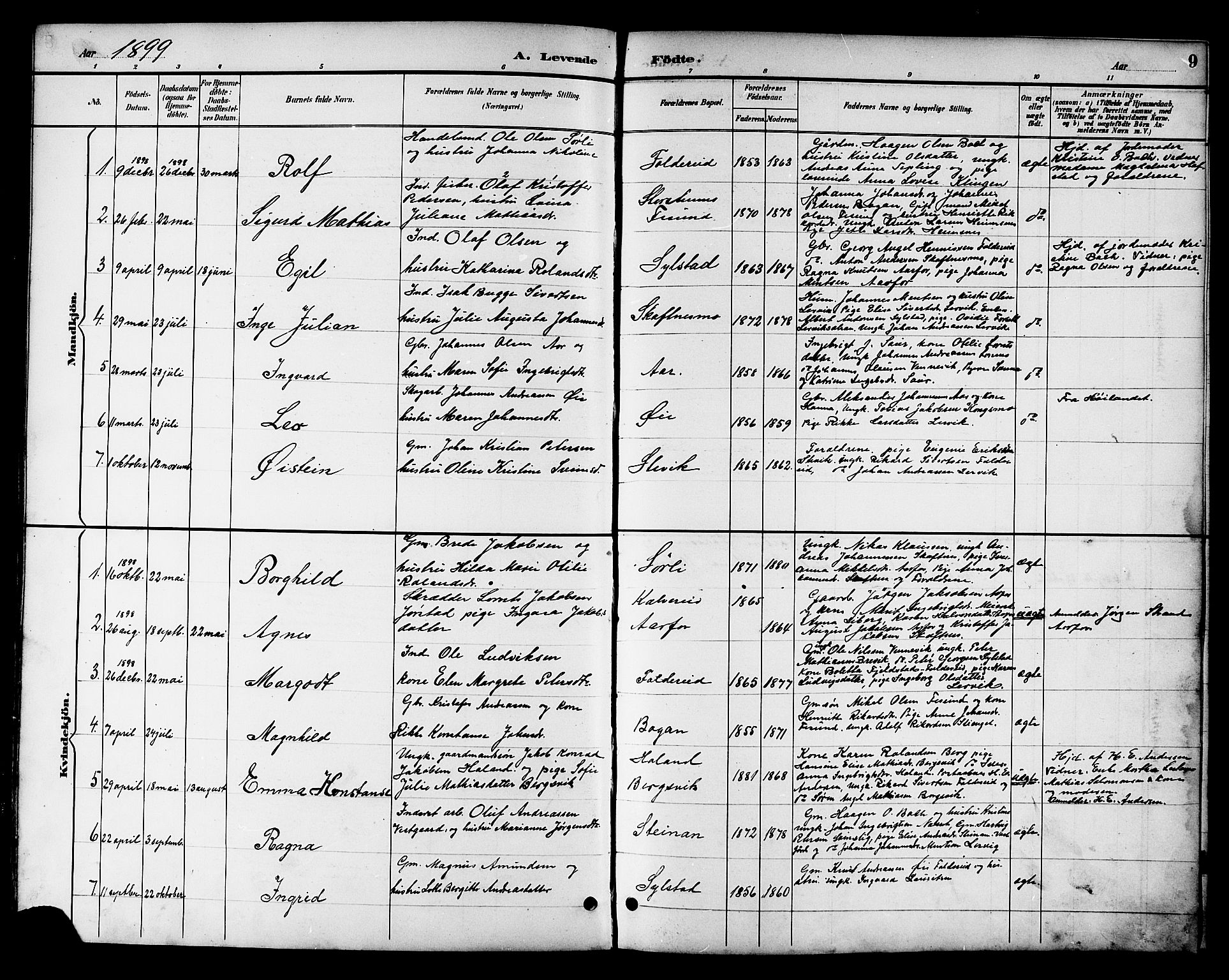Ministerialprotokoller, klokkerbøker og fødselsregistre - Nord-Trøndelag, SAT/A-1458/783/L0662: Parish register (copy) no. 783C02, 1894-1919, p. 9