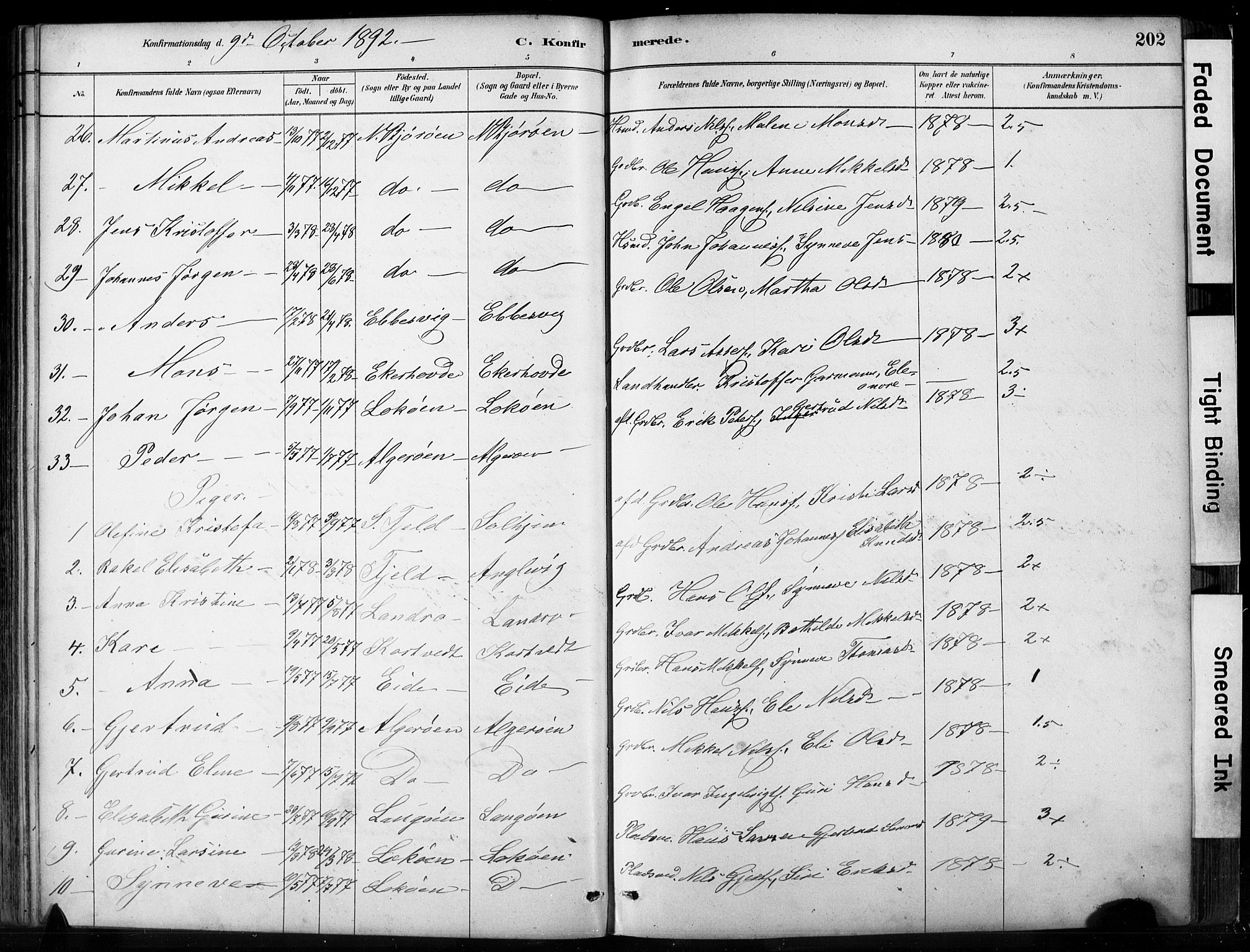 Fjell sokneprestembete, SAB/A-75301/H/Hab: Parish register (copy) no. A 4, 1880-1899, p. 202