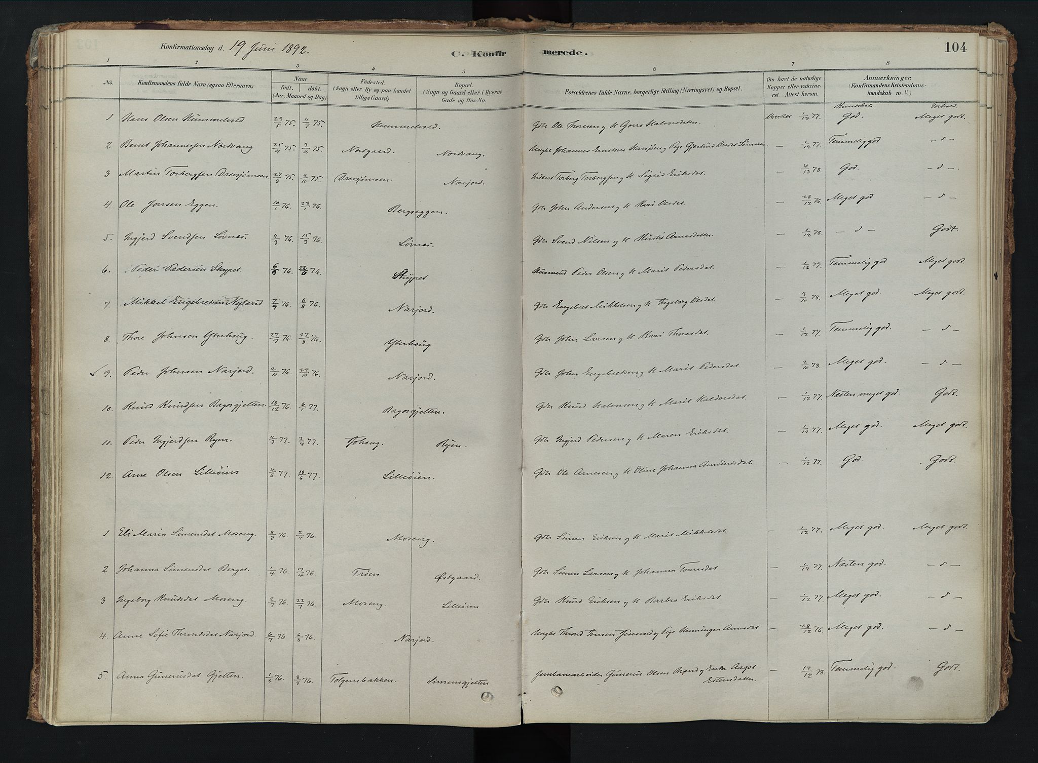 Tolga prestekontor, AV/SAH-PREST-062/K/L0008: Parish register (official) no. 8, 1877-1910, p. 104