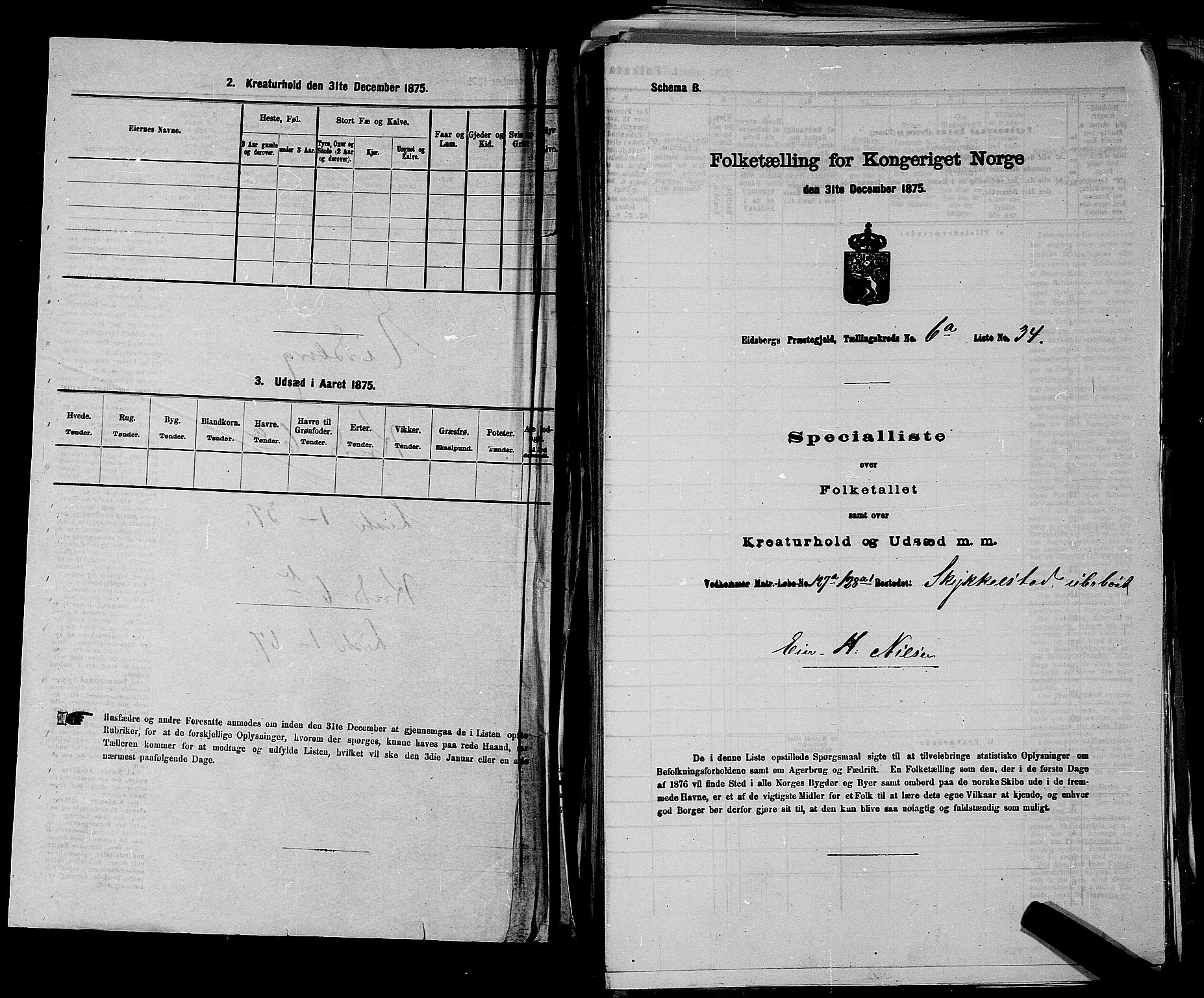 RA, 1875 census for 0125P Eidsberg, 1875, p. 1131