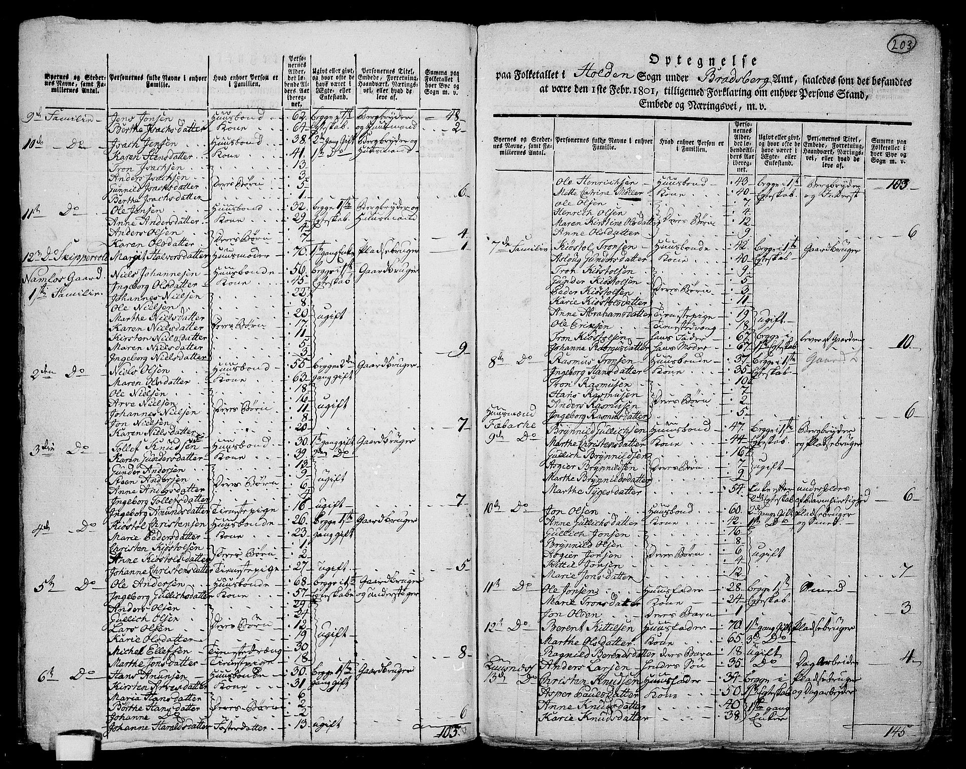 RA, 1801 census for 0819P Holla, 1801, p. 202b-203a