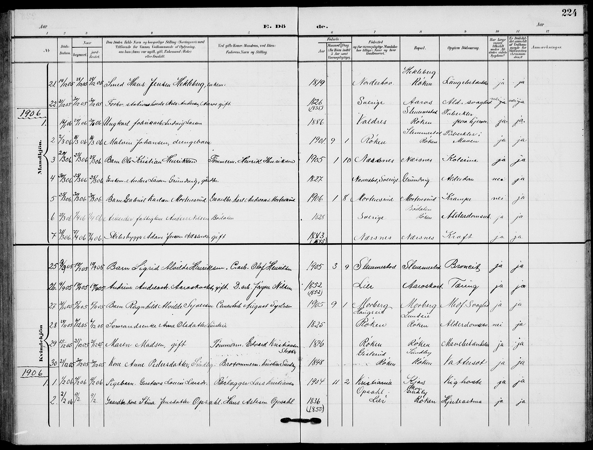 Røyken kirkebøker, AV/SAKO-A-241/G/Ga/L0005: Parish register (copy) no. 5, 1903-1918, p. 224