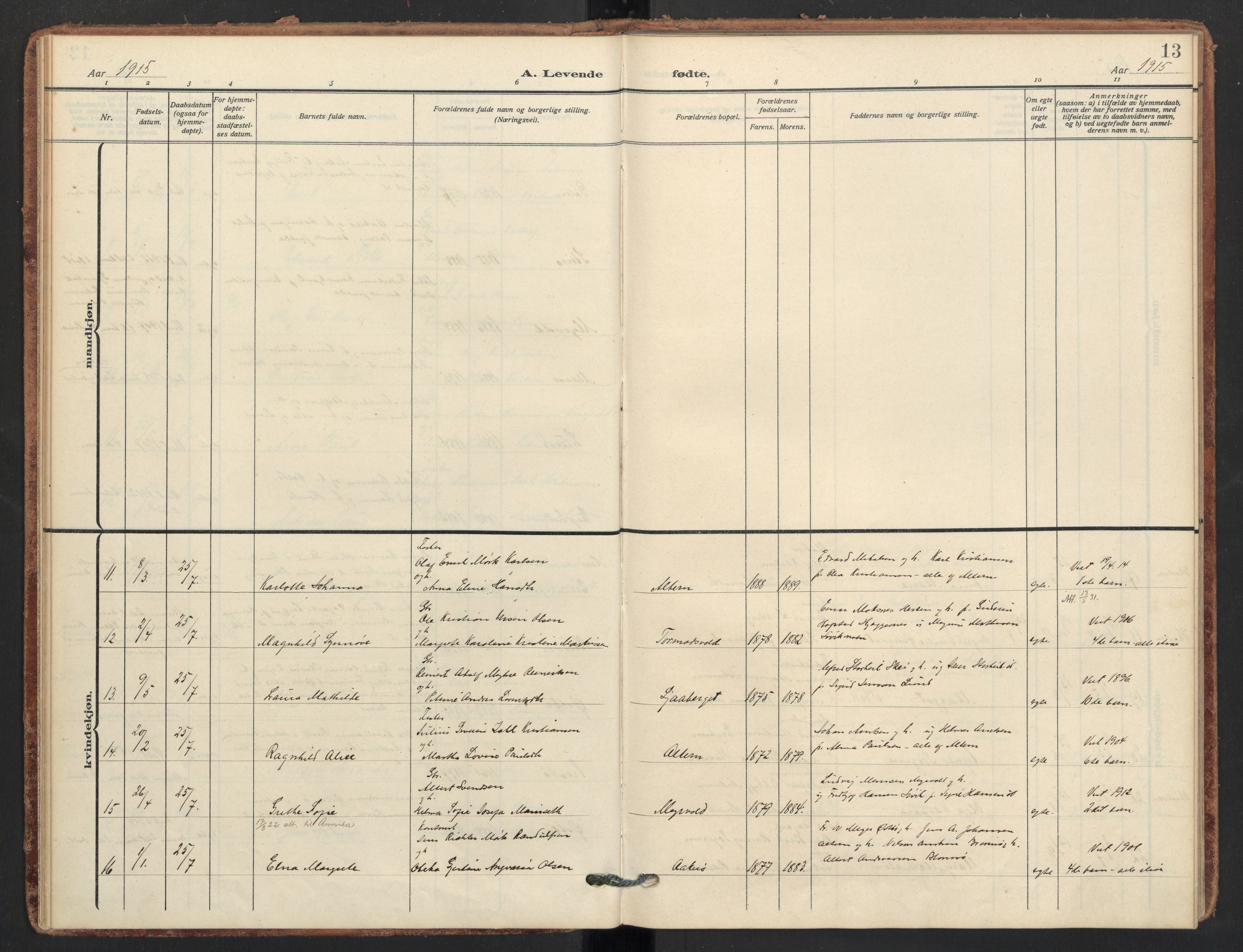 Ministerialprotokoller, klokkerbøker og fødselsregistre - Nordland, AV/SAT-A-1459/830/L0455: Parish register (official) no. 830A19, 1912-1942, p. 13