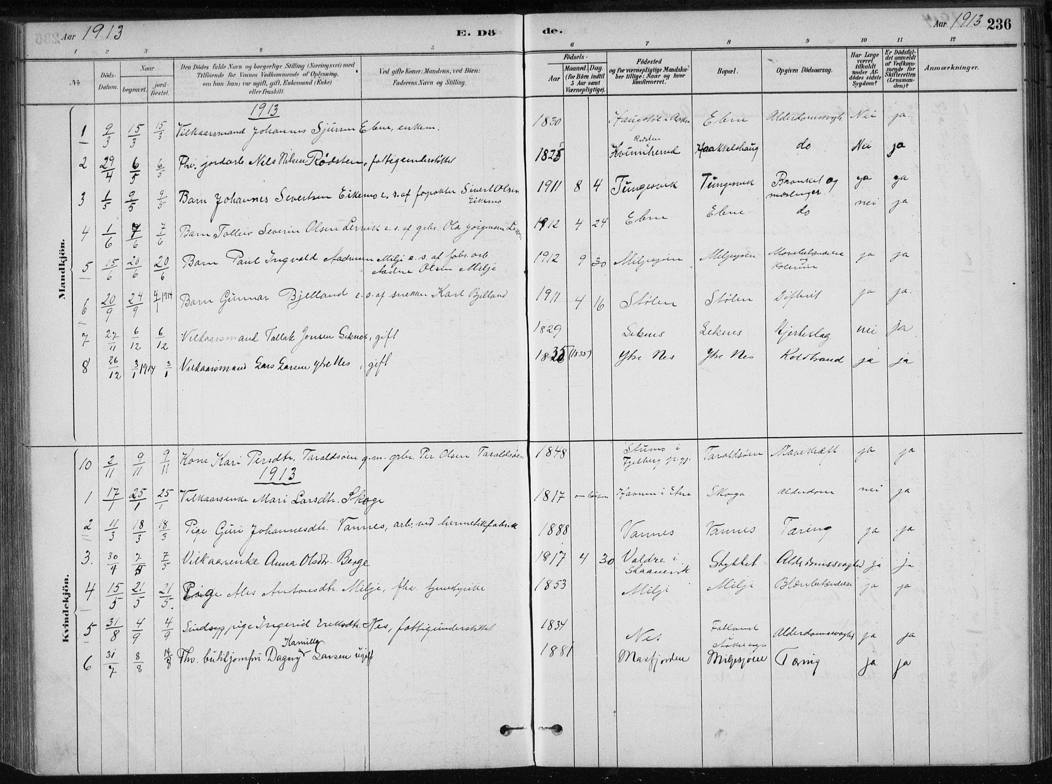 Skånevik sokneprestembete, AV/SAB-A-77801/H/Haa: Parish register (official) no. B 1, 1879-1914, p. 236