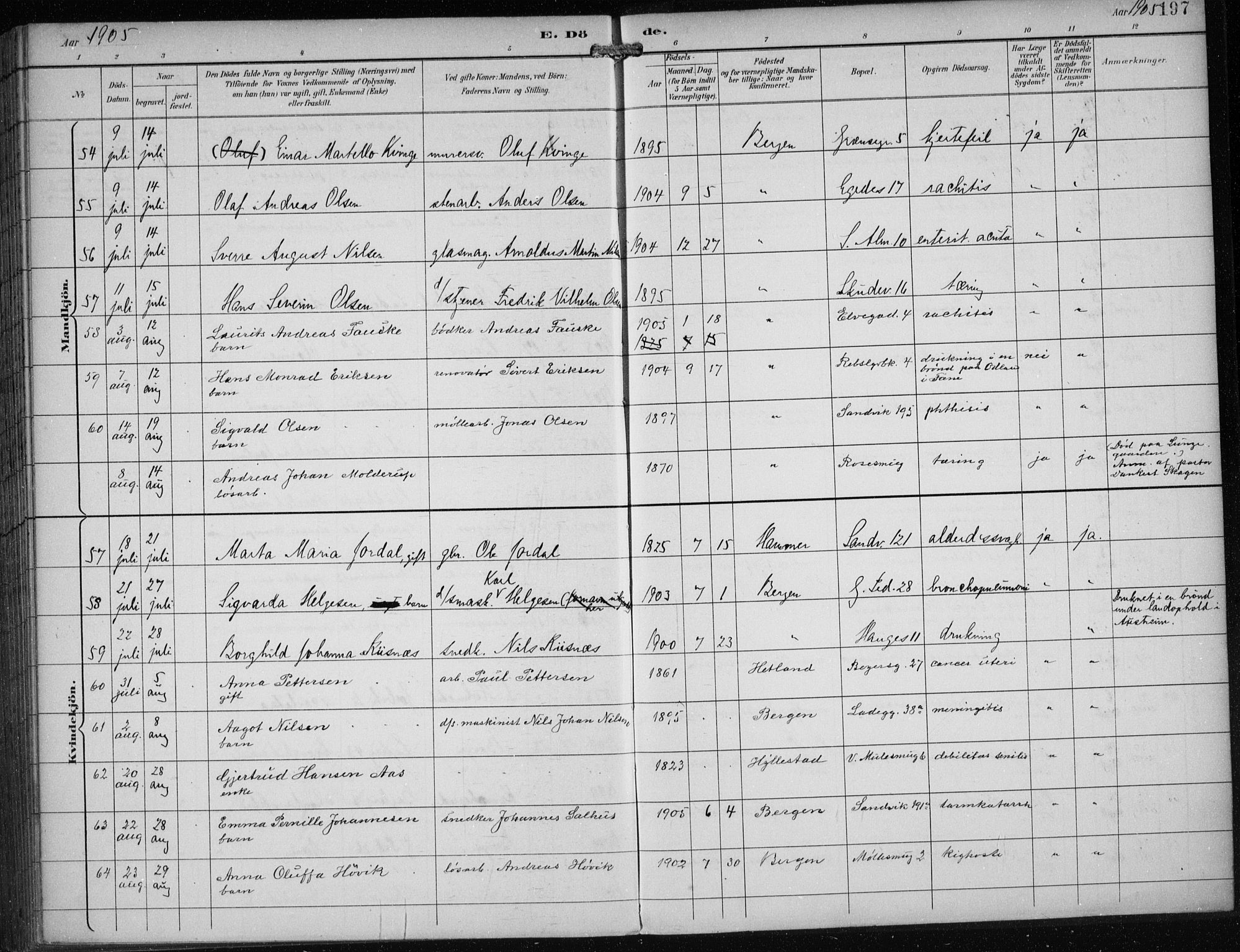 Sandviken Sokneprestembete, AV/SAB-A-77601/H/Ha/L0018: Parish register (official) no. E 1, 1893-1905, p. 197