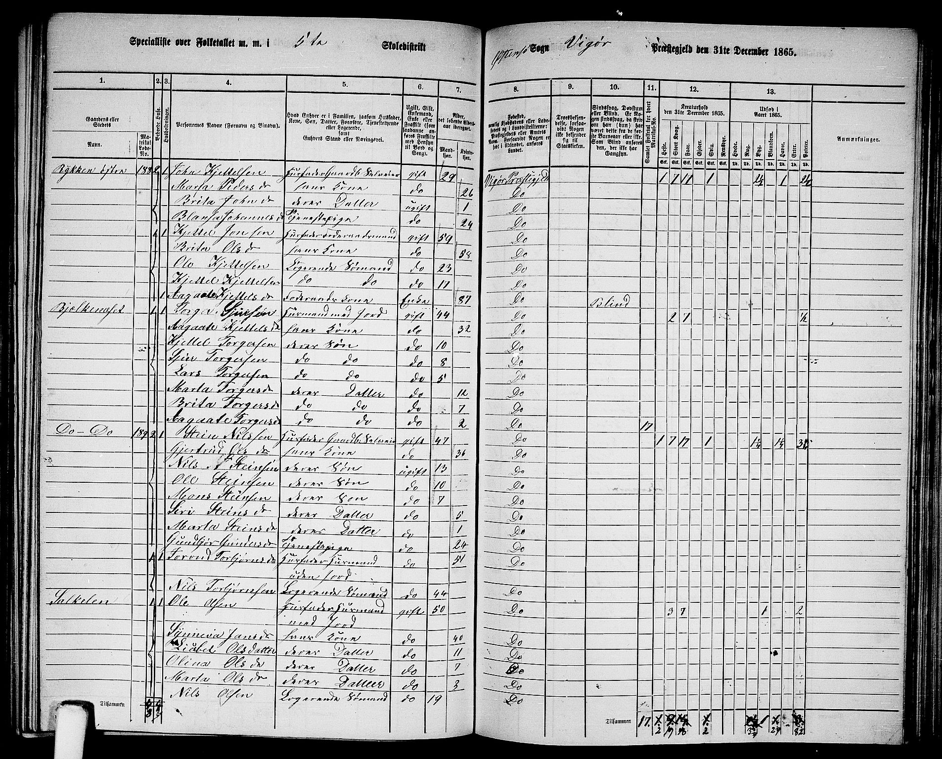 RA, 1865 census for Vikør, 1865, p. 83