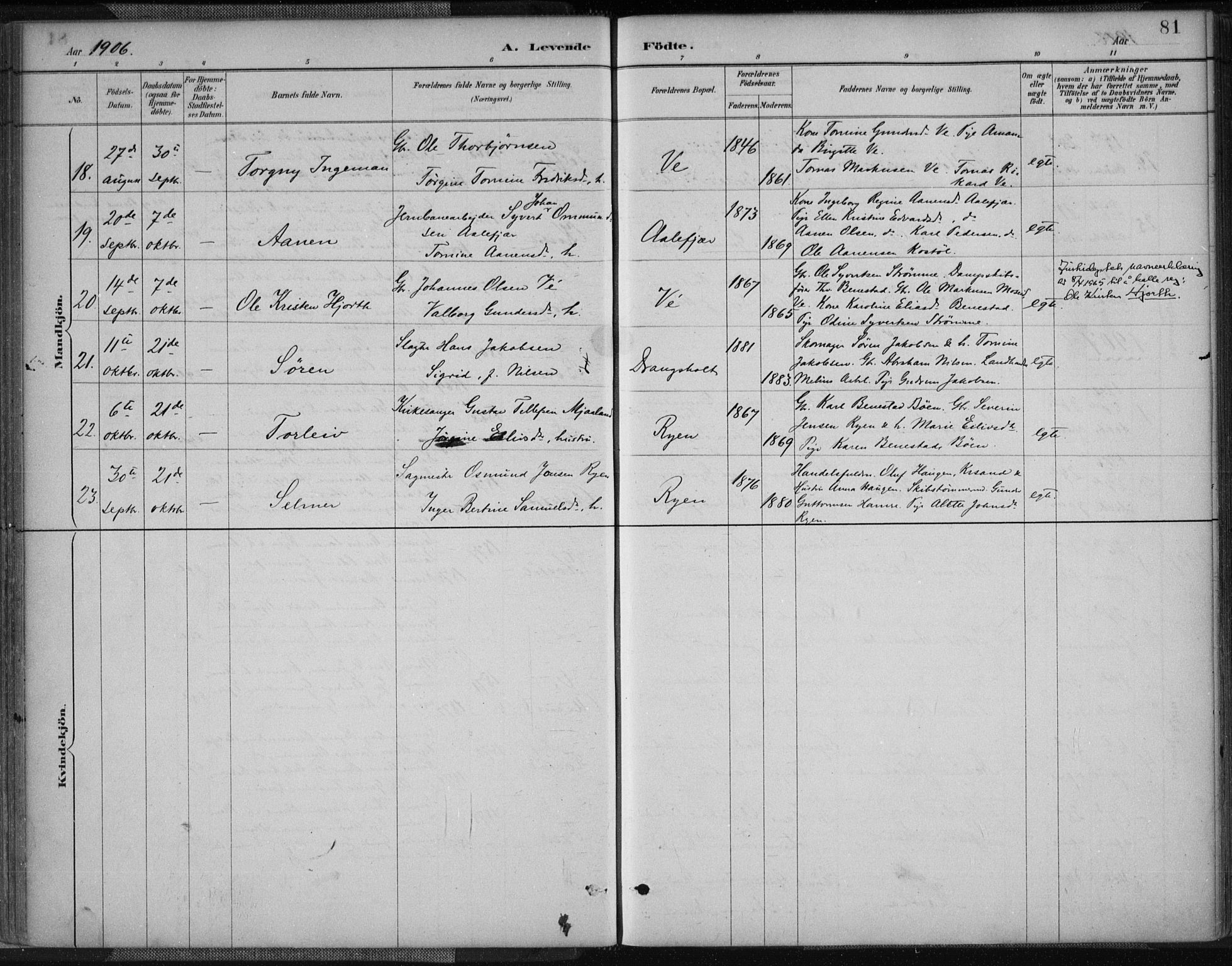 Tveit sokneprestkontor, AV/SAK-1111-0043/F/Fa/L0007: Parish register (official) no. A 7, 1887-1908, p. 81