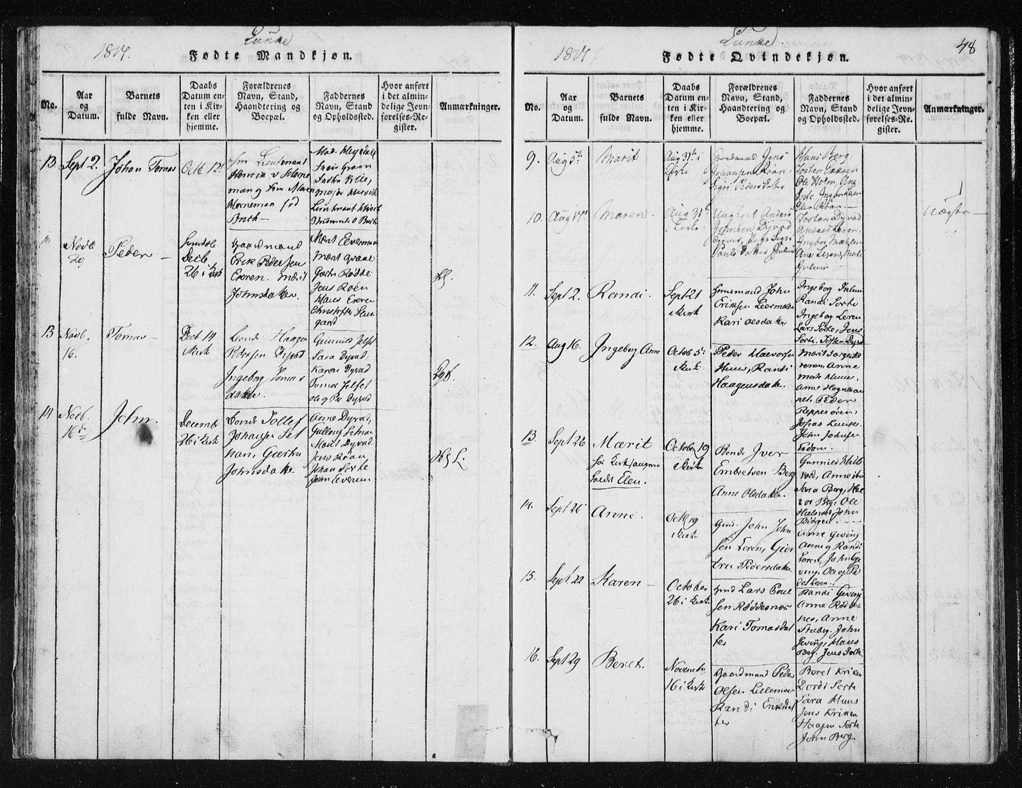 Ministerialprotokoller, klokkerbøker og fødselsregistre - Nord-Trøndelag, SAT/A-1458/709/L0061: Parish register (official) no. 709A08 /3, 1815-1819, p. 48
