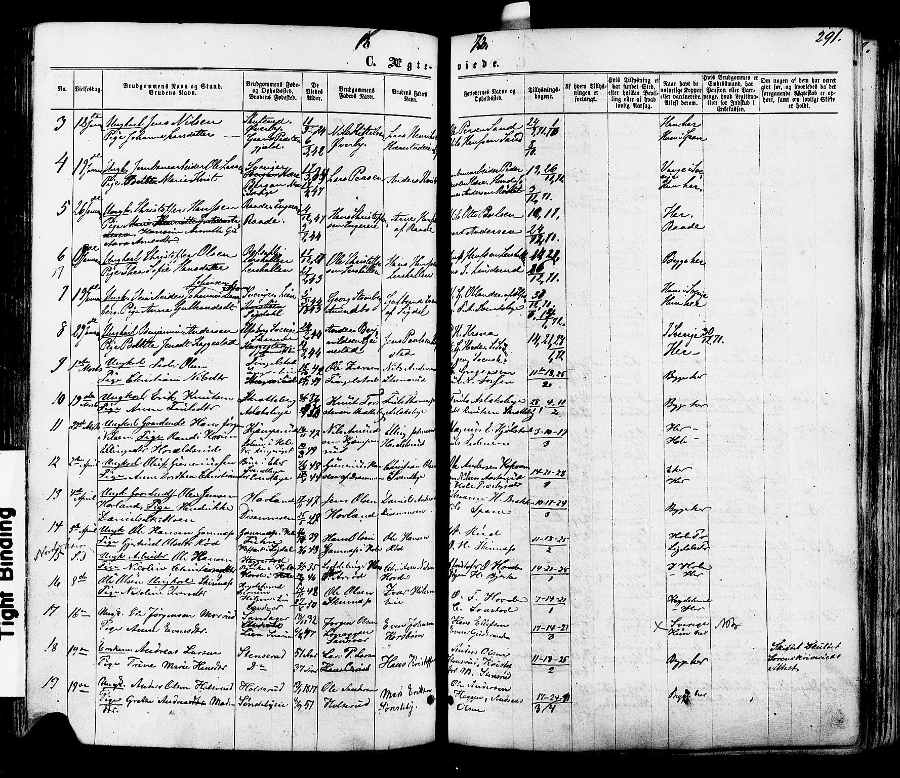 Modum kirkebøker, AV/SAKO-A-234/F/Fa/L0010: Parish register (official) no. 10, 1865-1876, p. 291