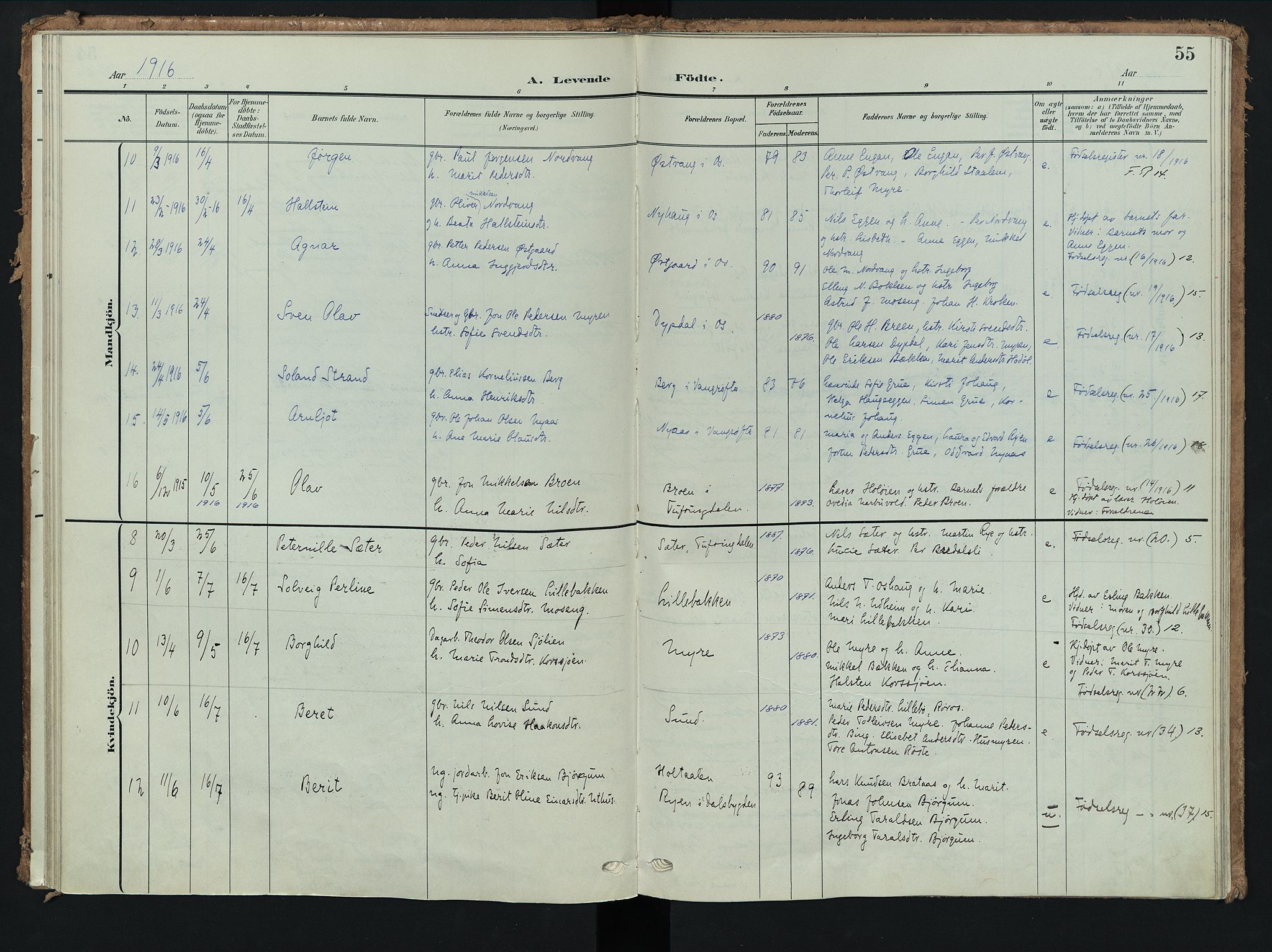 Tolga prestekontor, AV/SAH-PREST-062/K/L0009: Parish register (official) no. 9, 1903-1928, p. 55
