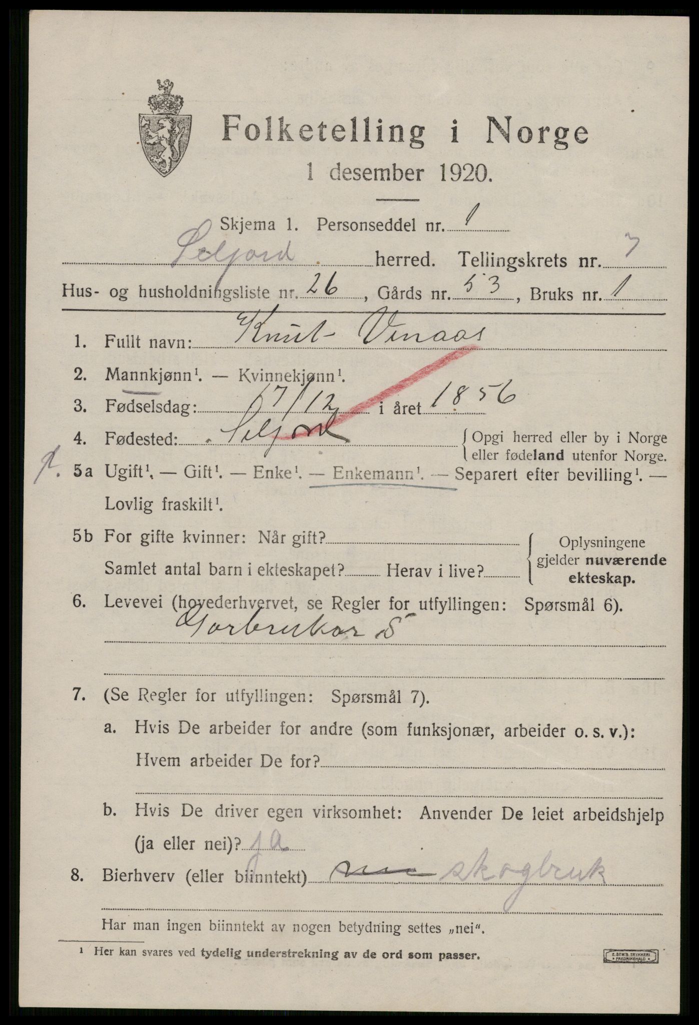 SAKO, 1920 census for Seljord, 1920, p. 3878