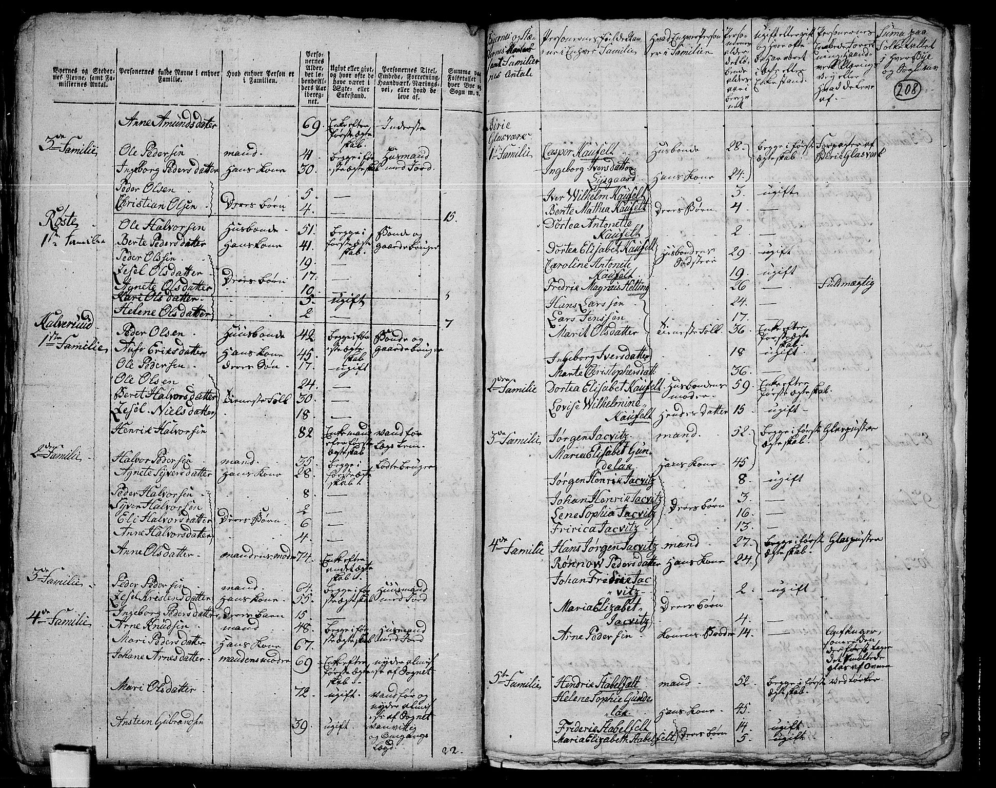 RA, 1801 census for 0525P Biri, 1801, p. 207b-208a