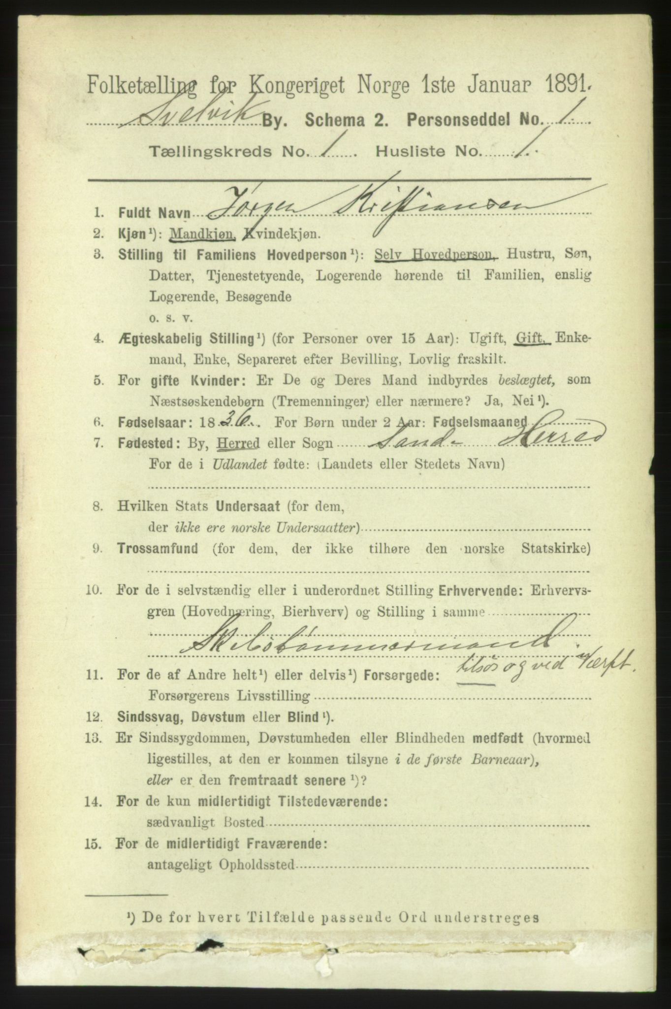 RA, 1891 census for 0701 Svelvik, 1891, p. 551