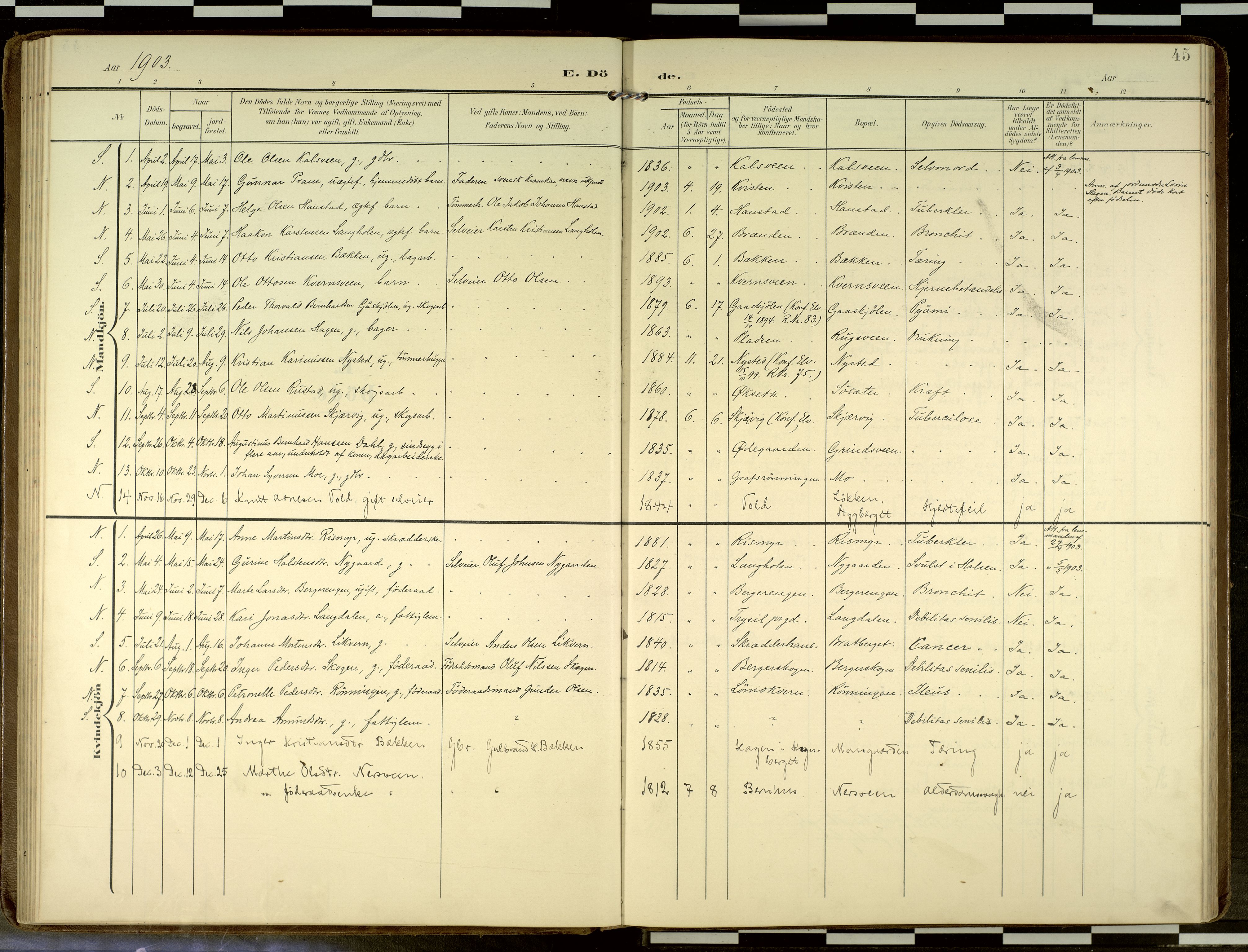 Elverum prestekontor, AV/SAH-PREST-044/H/Ha/Haa/L0019: Parish register (official) no. 19, 1903-1926, p. 45