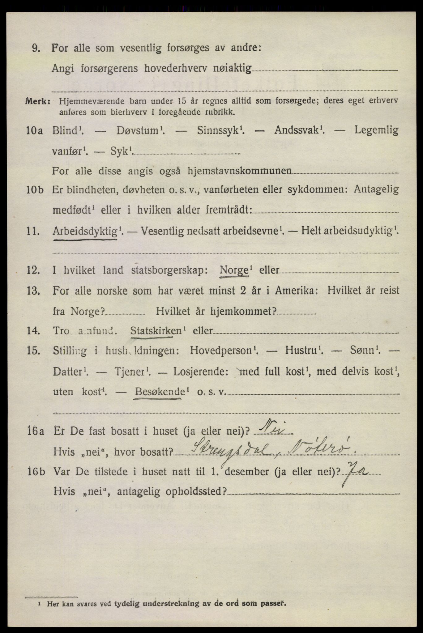 SAKO, 1920 census for Nøtterøy, 1920, p. 10638