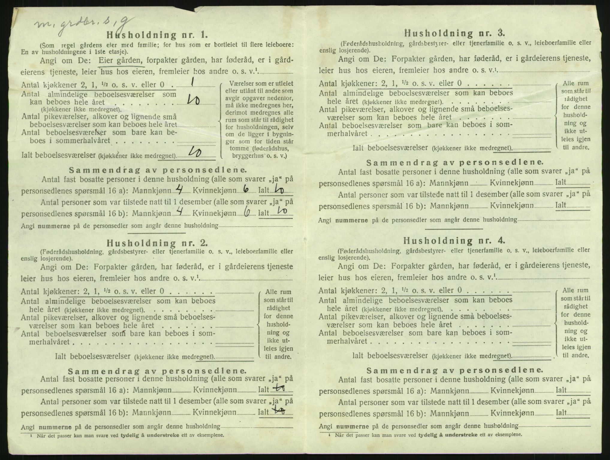 SAH, 1920 census for Fluberg, 1920, p. 785