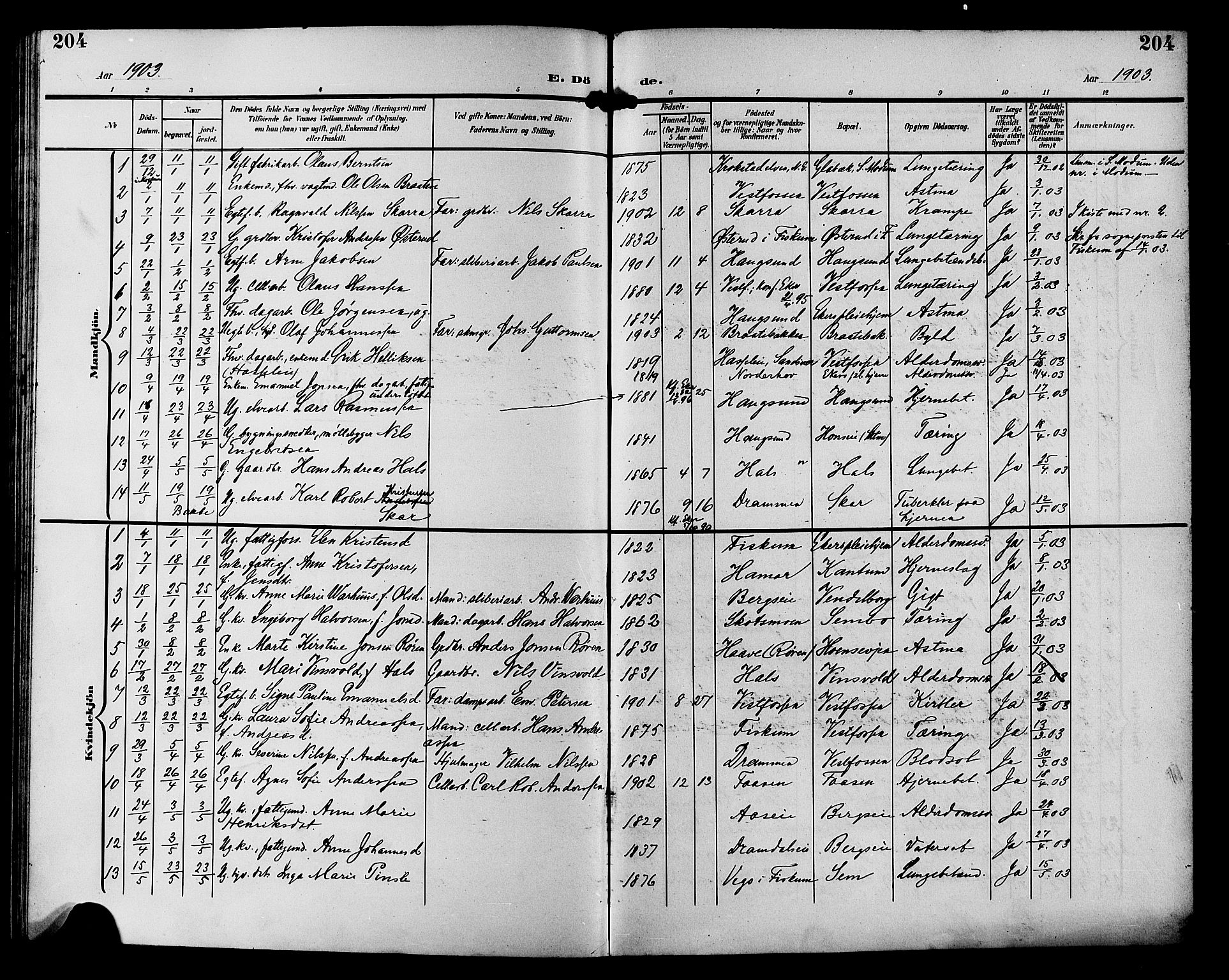 Eiker kirkebøker, SAKO/A-4/G/Ga/L0008: Parish register (copy) no. I 8, 1903-1914, p. 204