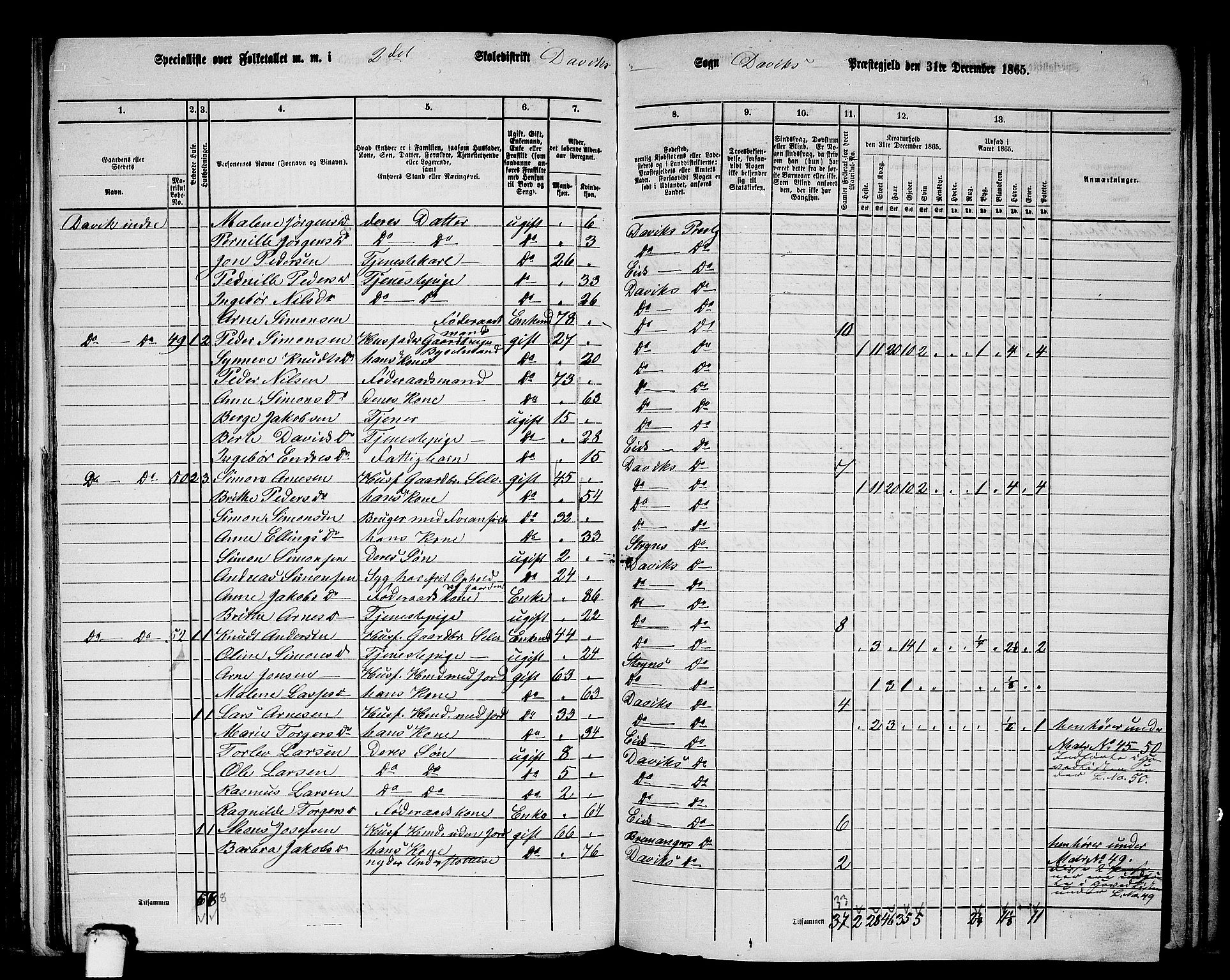 RA, 1865 census for Davik, 1865, p. 33