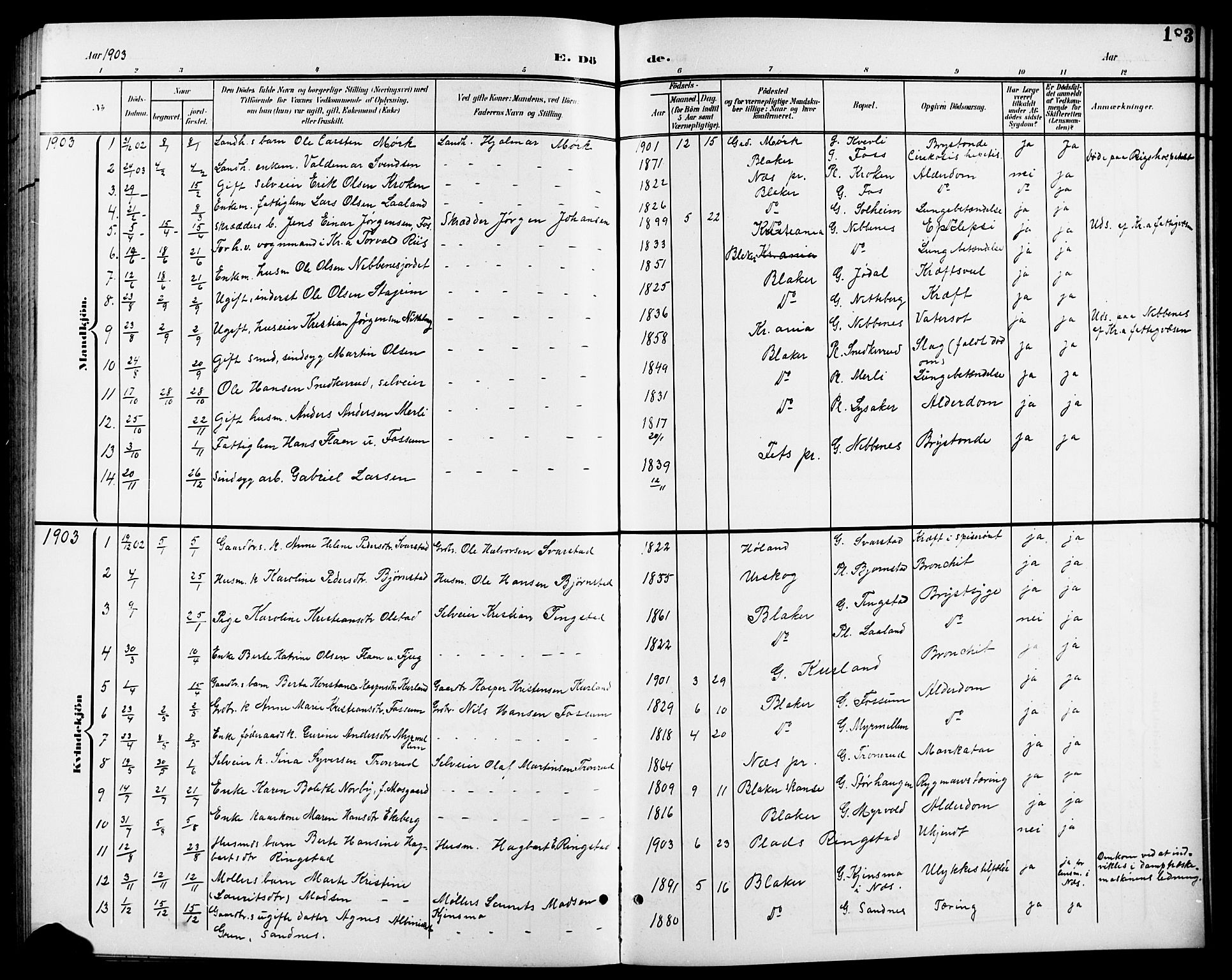 Aurskog prestekontor Kirkebøker, SAO/A-10304a/G/Gb/L0002: Parish register (copy) no. II 2, 1901-1926, p. 183
