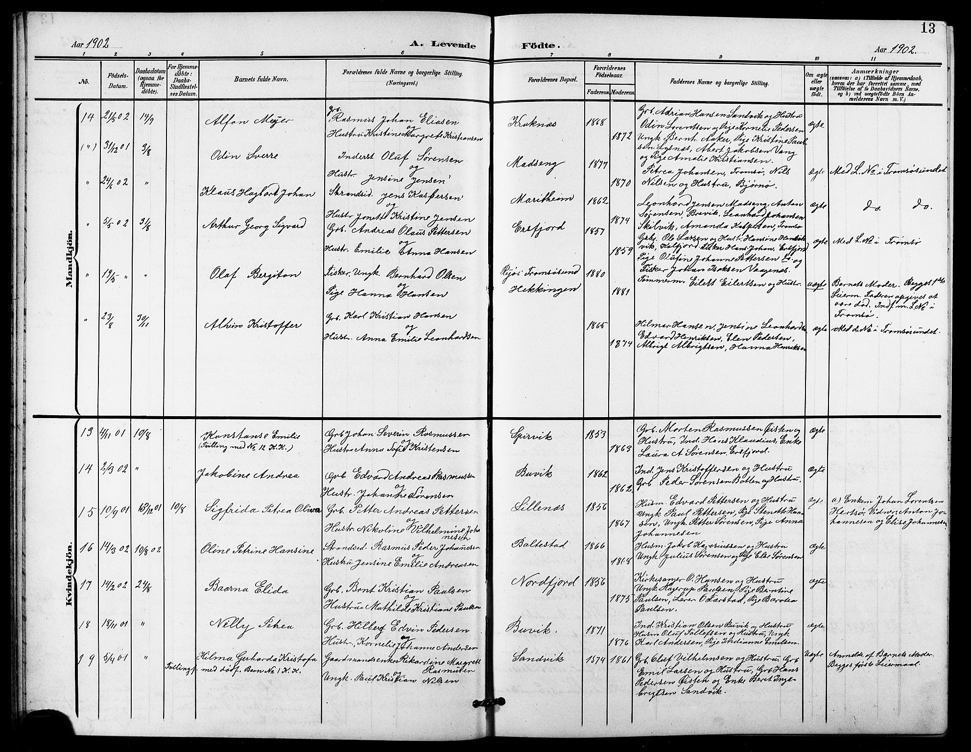 Lenvik sokneprestembete, AV/SATØ-S-1310/H/Ha/Hab/L0022klokker: Parish register (copy) no. 22, 1901-1918, p. 13