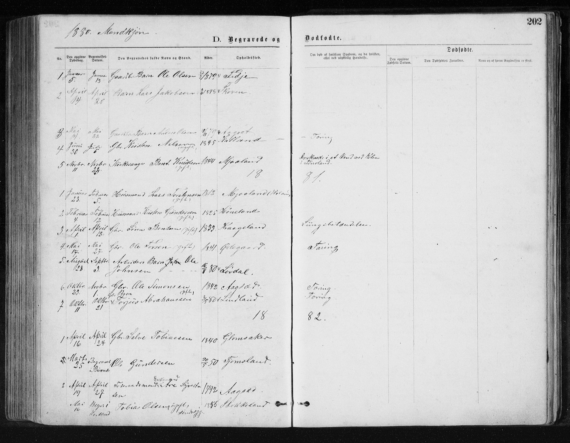 Holum sokneprestkontor, AV/SAK-1111-0022/F/Fb/Fbb/L0003: Parish register (copy) no. B 3, 1875-1898, p. 202