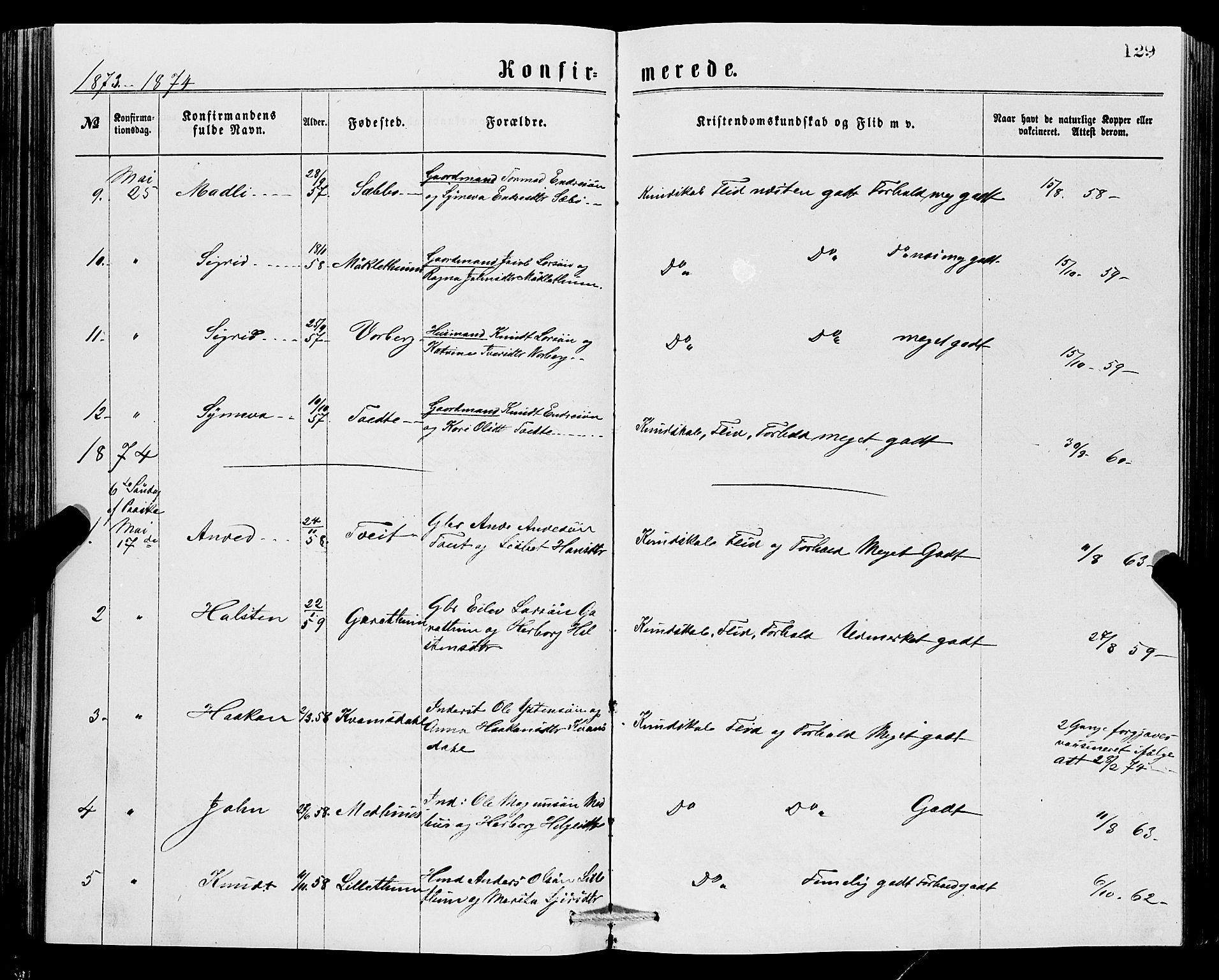 Ullensvang sokneprestembete, SAB/A-78701/H/Hab: Parish register (copy) no. C 2, 1871-1899, p. 129