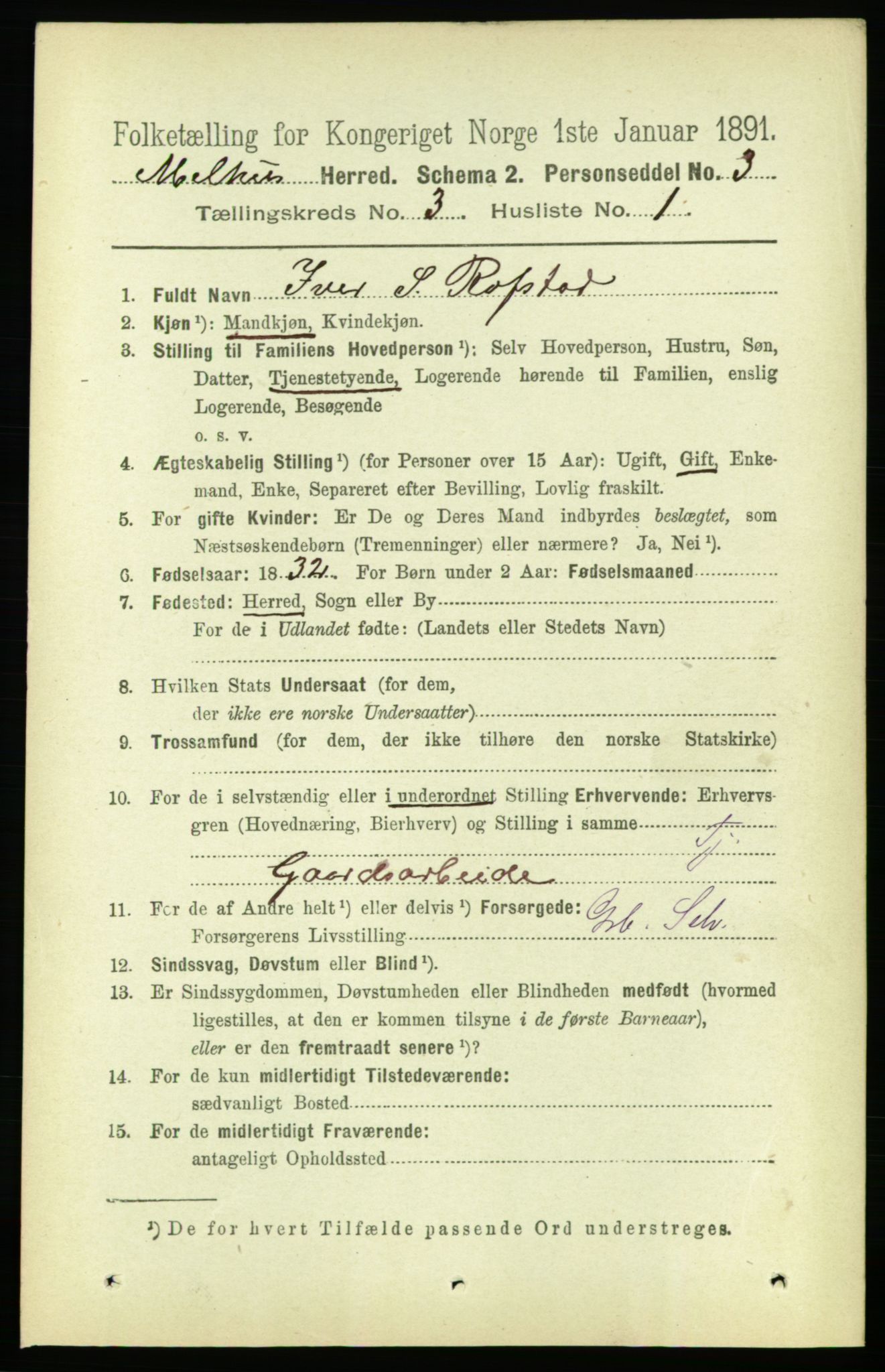 RA, 1891 census for 1653 Melhus, 1891, p. 1385